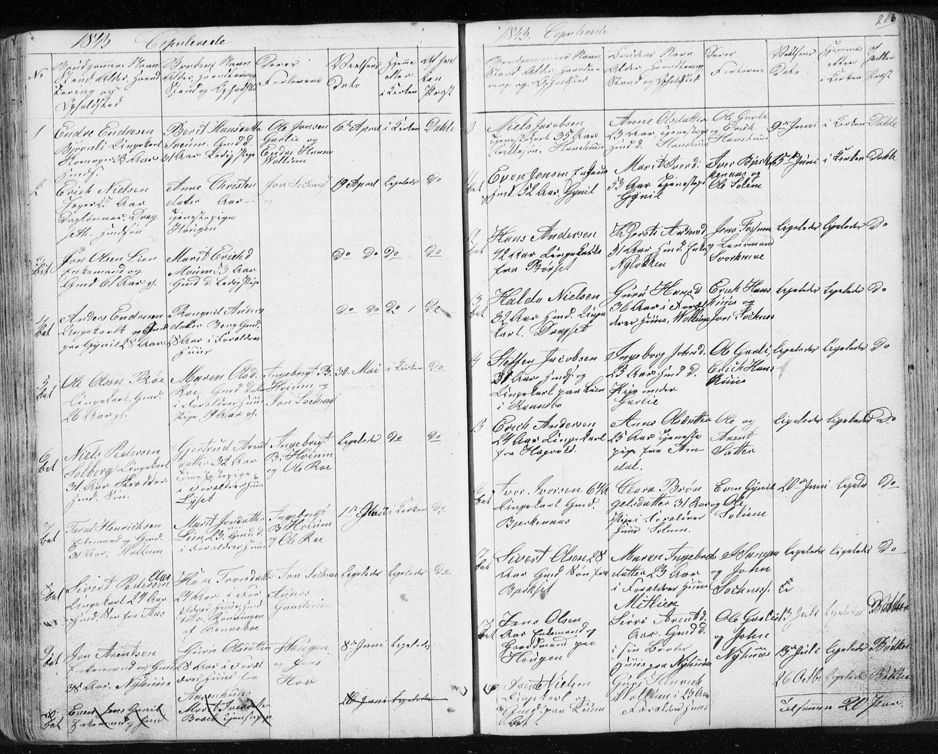 Ministerialprotokoller, klokkerbøker og fødselsregistre - Sør-Trøndelag, AV/SAT-A-1456/689/L1043: Parish register (copy) no. 689C02, 1816-1892, p. 216