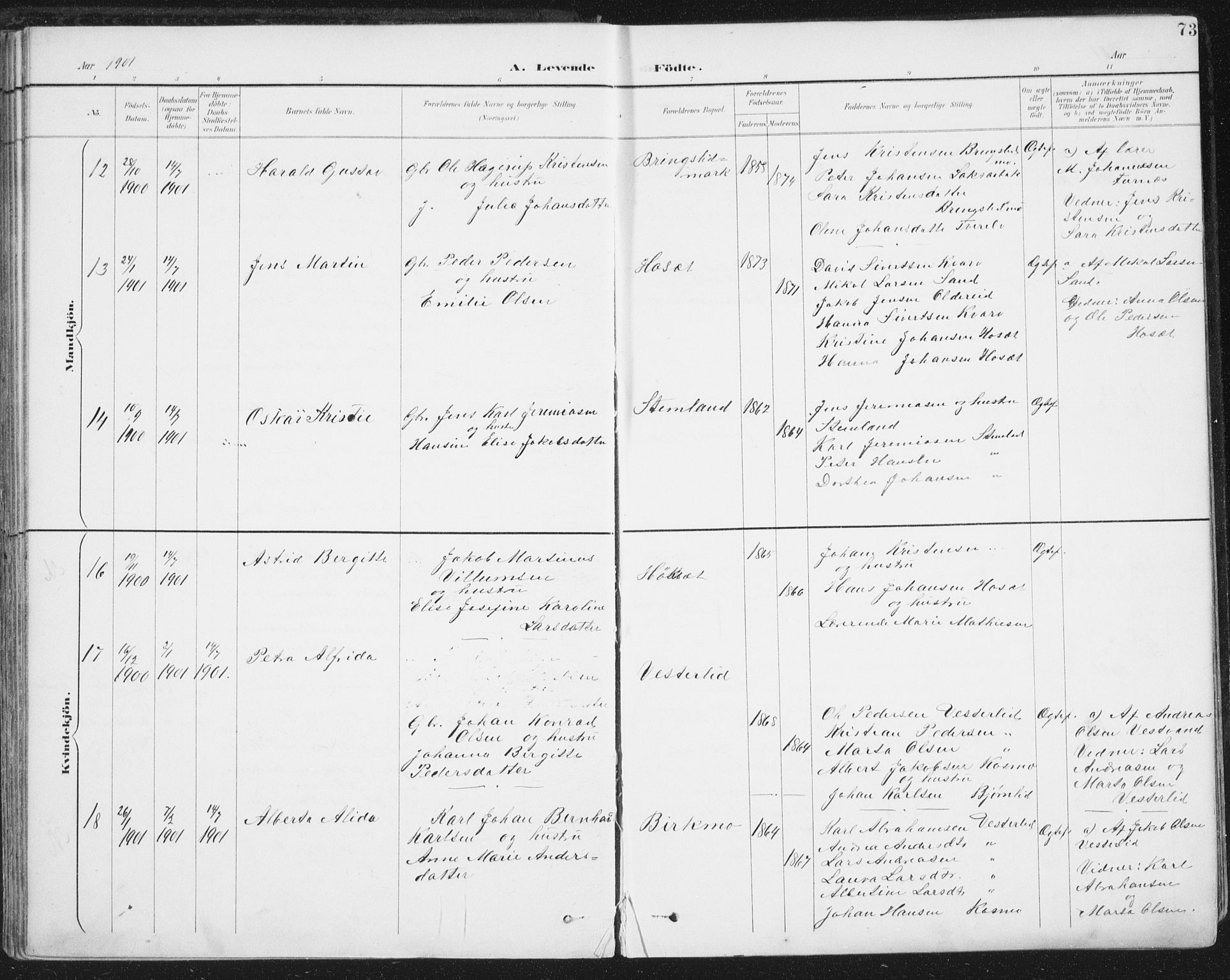 Ministerialprotokoller, klokkerbøker og fødselsregistre - Nordland, SAT/A-1459/852/L0741: Parish register (official) no. 852A11, 1894-1917, p. 73