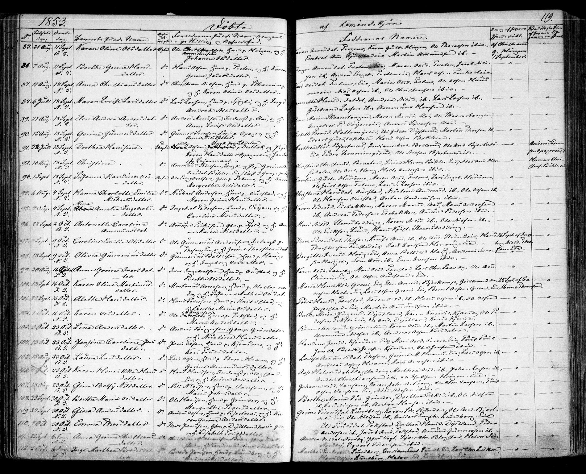 Nes prestekontor Kirkebøker, SAO/A-10410/F/Fa/L0007: Parish register (official) no. I 7, 1846-1858, p. 119