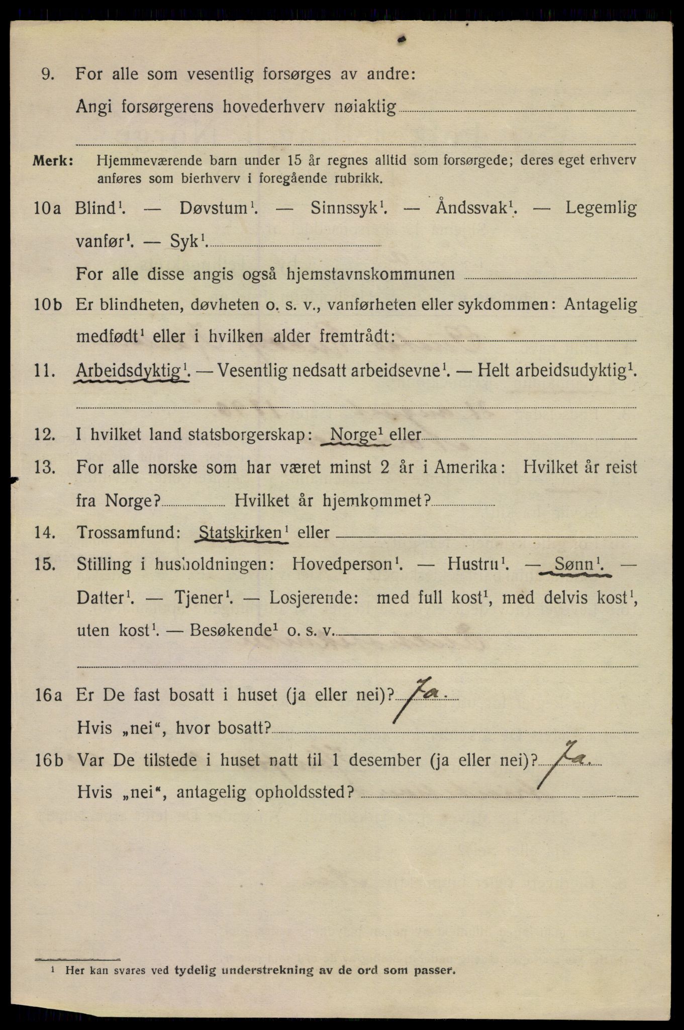 SAKO, 1920 census for Hønefoss, 1920, p. 6997