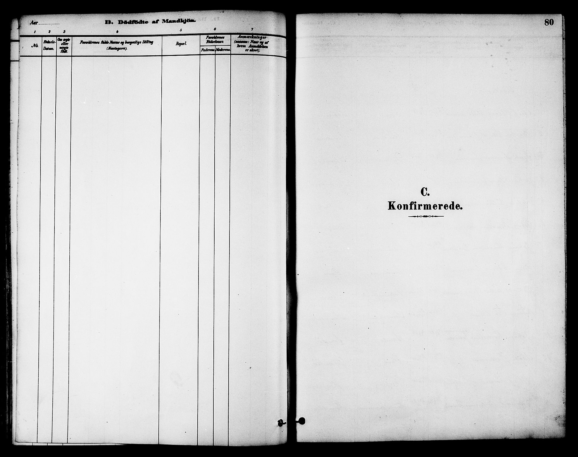 Ministerialprotokoller, klokkerbøker og fødselsregistre - Nord-Trøndelag, SAT/A-1458/784/L0672: Parish register (official) no. 784A07, 1880-1887, p. 80