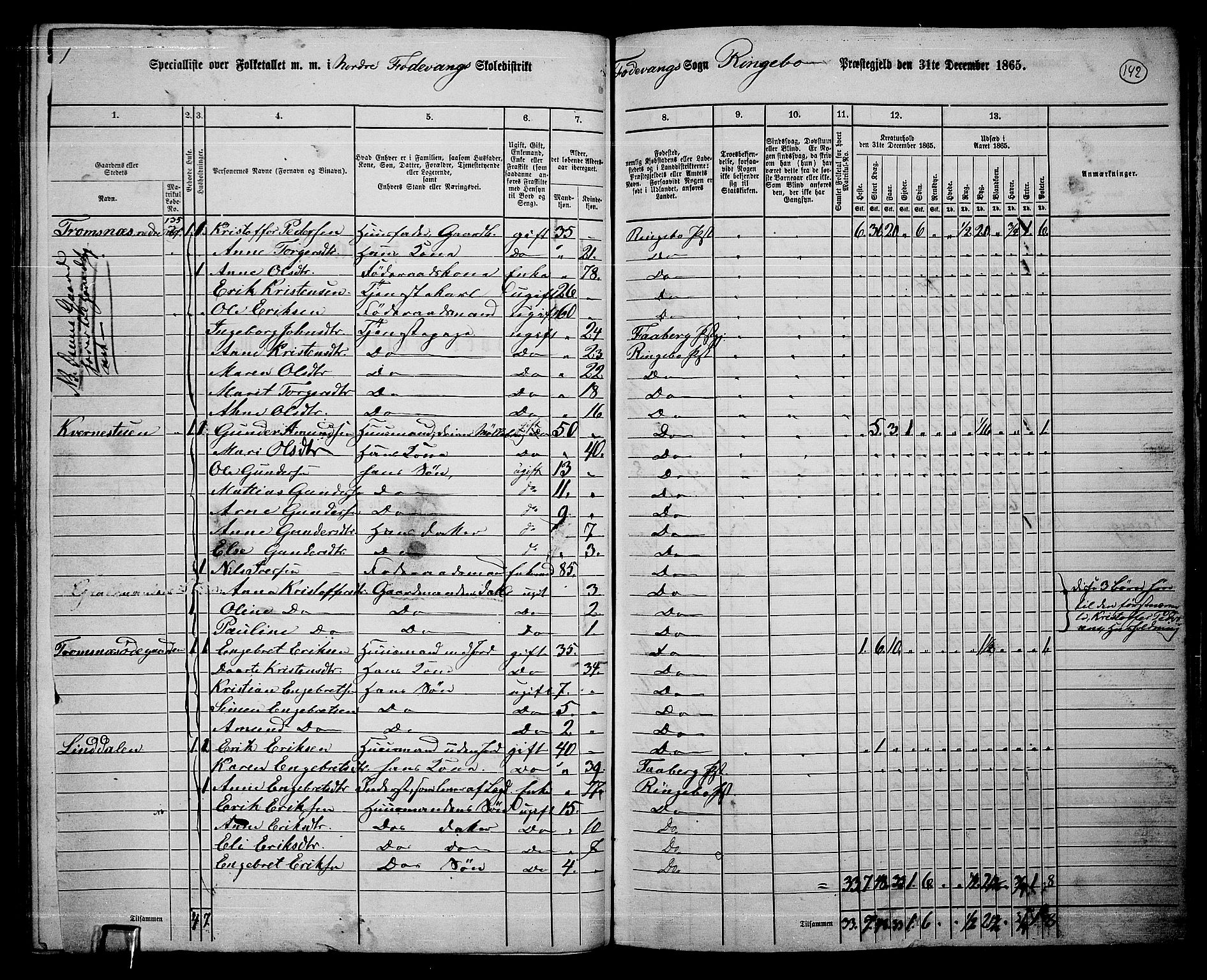 RA, 1865 census for Ringebu, 1865, p. 117