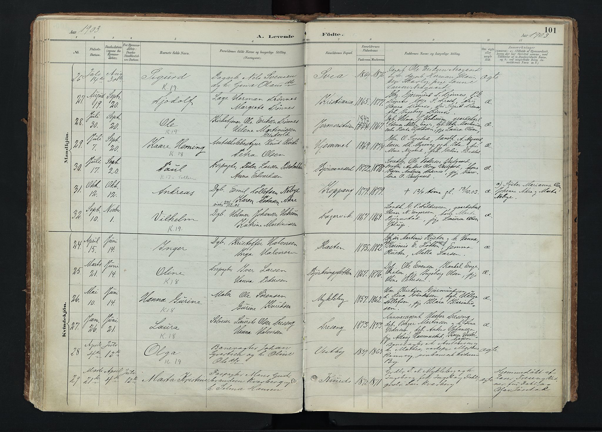 Stor-Elvdal prestekontor, AV/SAH-PREST-052/H/Ha/Haa/L0004: Parish register (official) no. 4, 1890-1922, p. 101