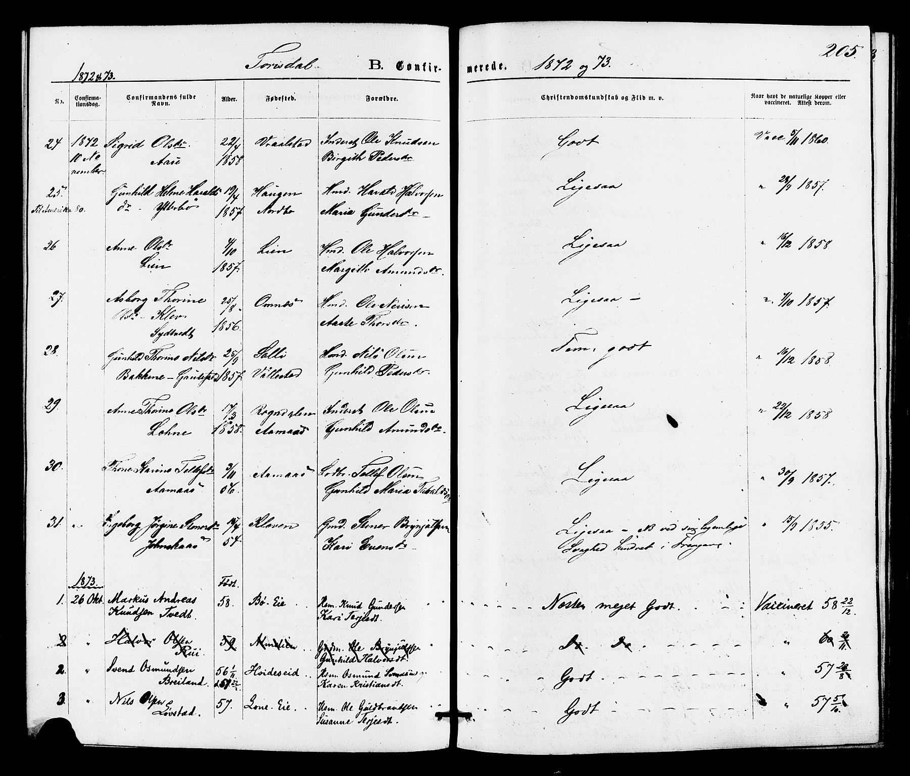 Drangedal kirkebøker, SAKO/A-258/F/Fa/L0009: Parish register (official) no. 9 /2, 1872-1884, p. 205