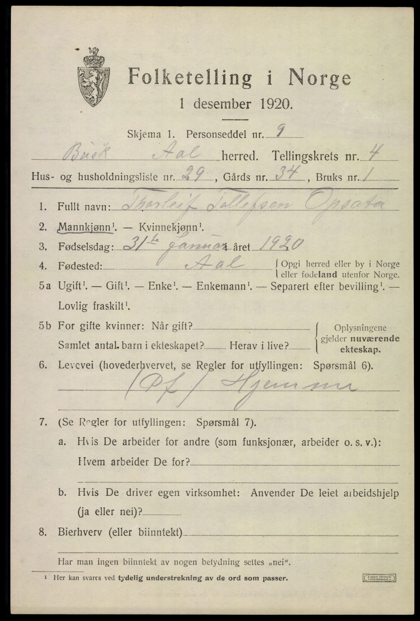 SAKO, 1920 census for Ål, 1920, p. 3314