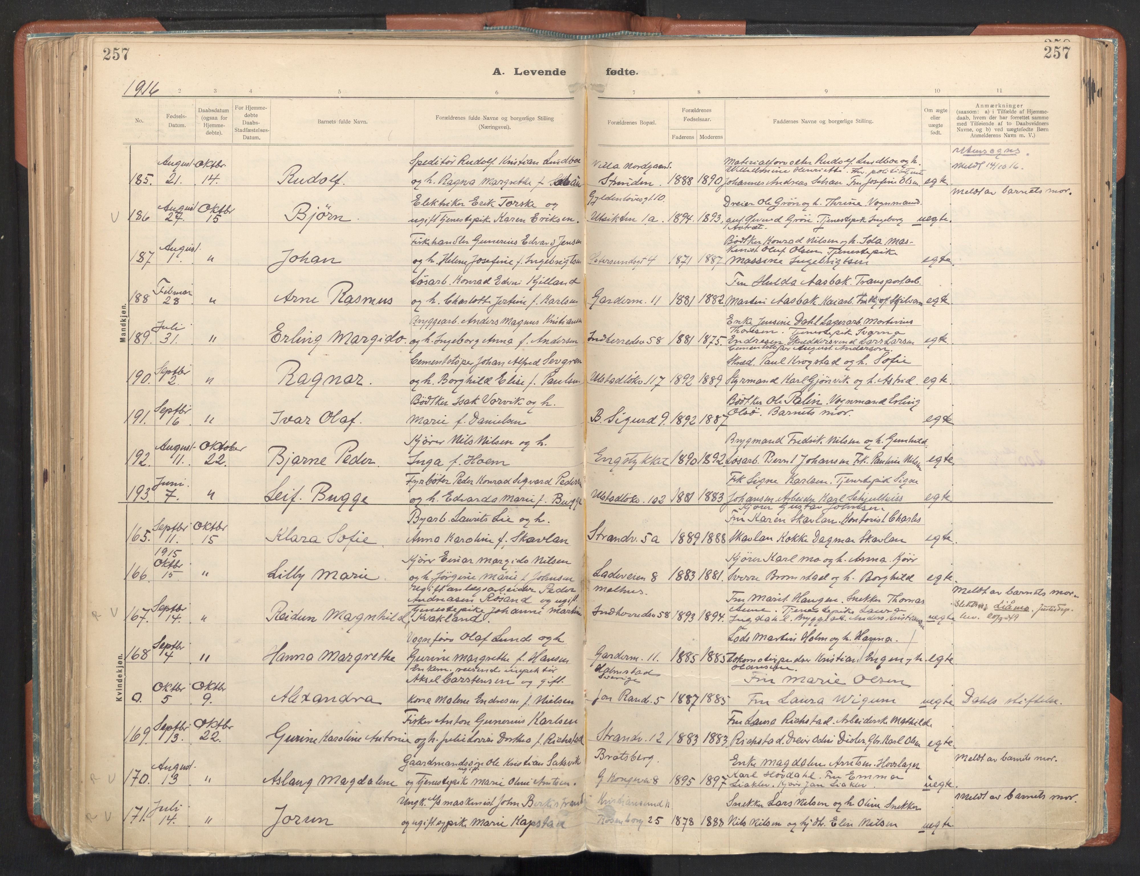 Ministerialprotokoller, klokkerbøker og fødselsregistre - Sør-Trøndelag, AV/SAT-A-1456/605/L0243: Parish register (official) no. 605A05, 1908-1923, p. 257