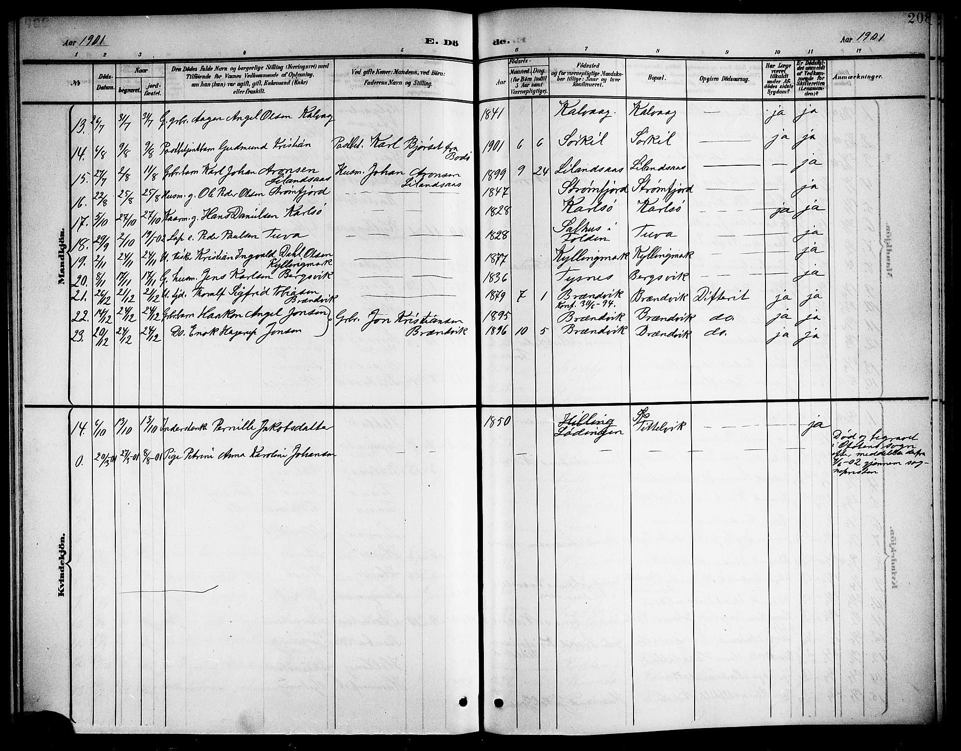 Ministerialprotokoller, klokkerbøker og fødselsregistre - Nordland, AV/SAT-A-1459/859/L0860: Parish register (copy) no. 859C06, 1899-1909, p. 208