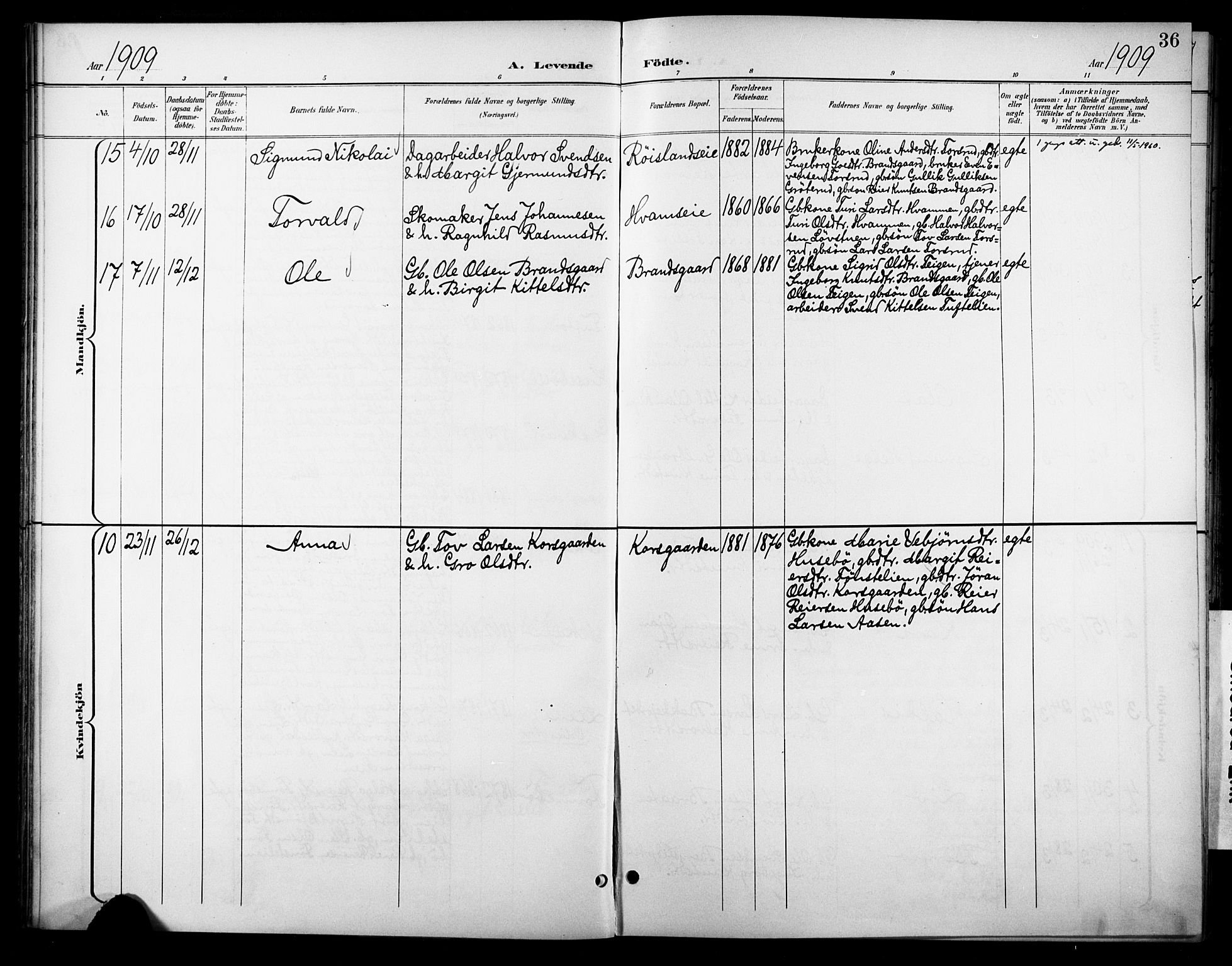 Nore kirkebøker, SAKO/A-238/F/Fc/L0005: Parish register (official) no. III 5, 1898-1922, p. 36