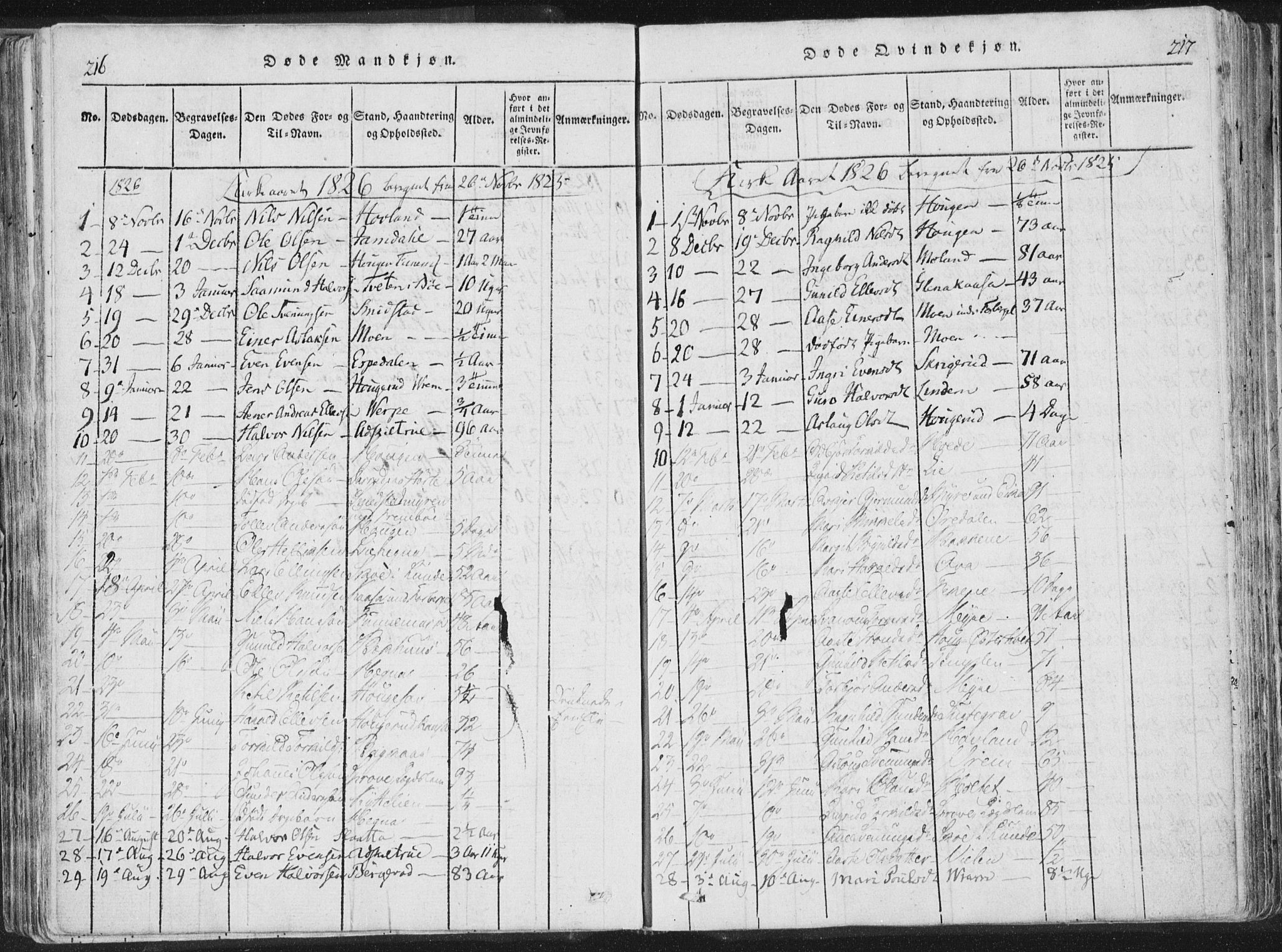 Bø kirkebøker, AV/SAKO-A-257/F/Fa/L0006: Parish register (official) no. 6, 1815-1831, p. 216-217