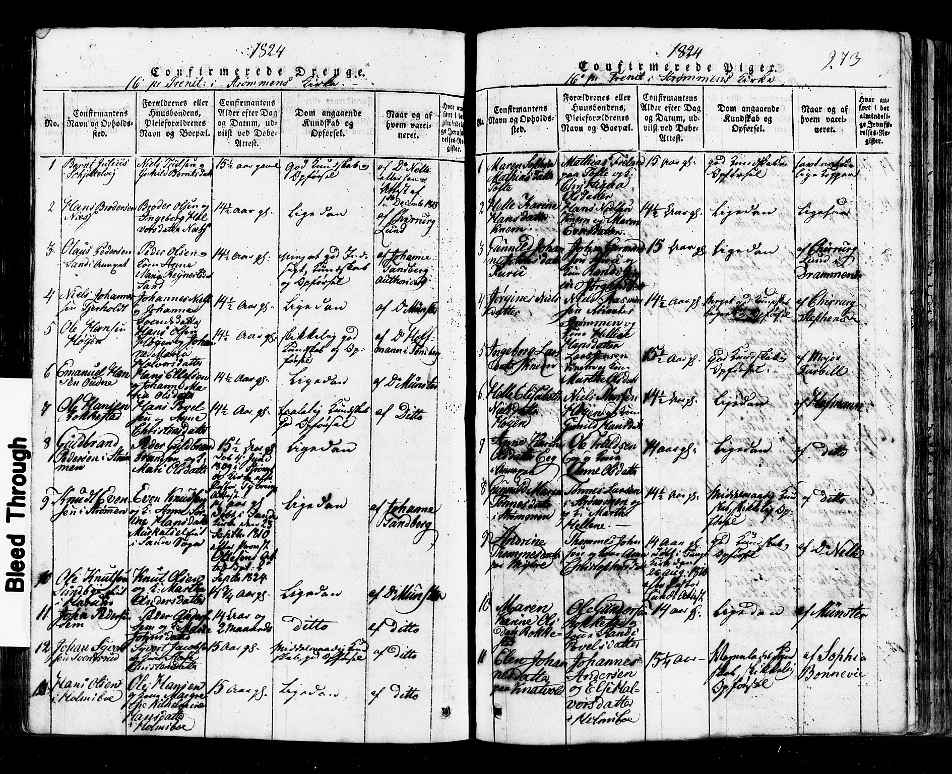 Hurum kirkebøker, SAKO/A-229/G/Ga/L0001: Parish register (copy) no. I 1, 1816-1826, p. 273
