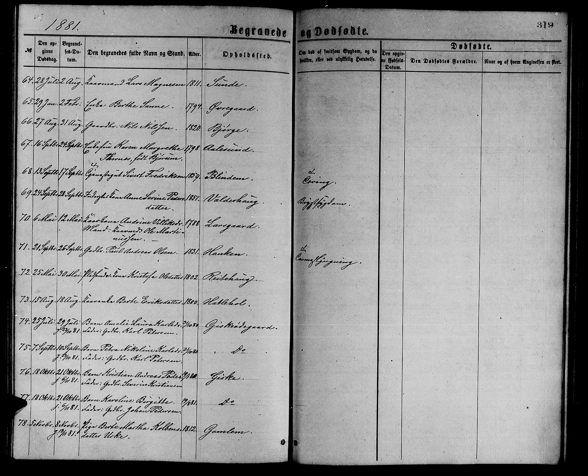 Ministerialprotokoller, klokkerbøker og fødselsregistre - Møre og Romsdal, AV/SAT-A-1454/528/L0429: Parish register (copy) no. 528C10, 1872-1886, p. 319