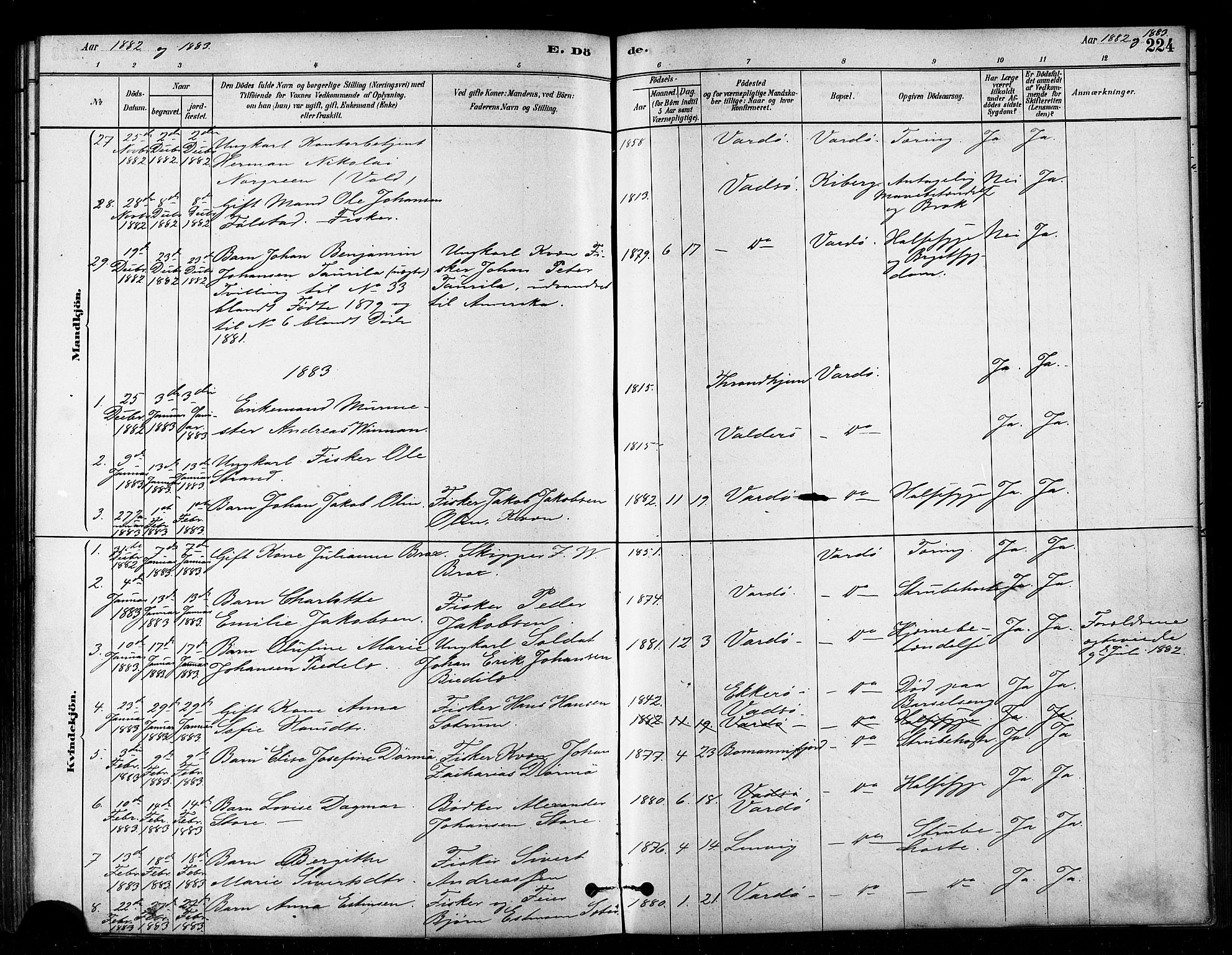 Vardø sokneprestkontor, SATØ/S-1332/H/Ha/L0006kirke: Parish register (official) no. 6, 1879-1886, p. 224