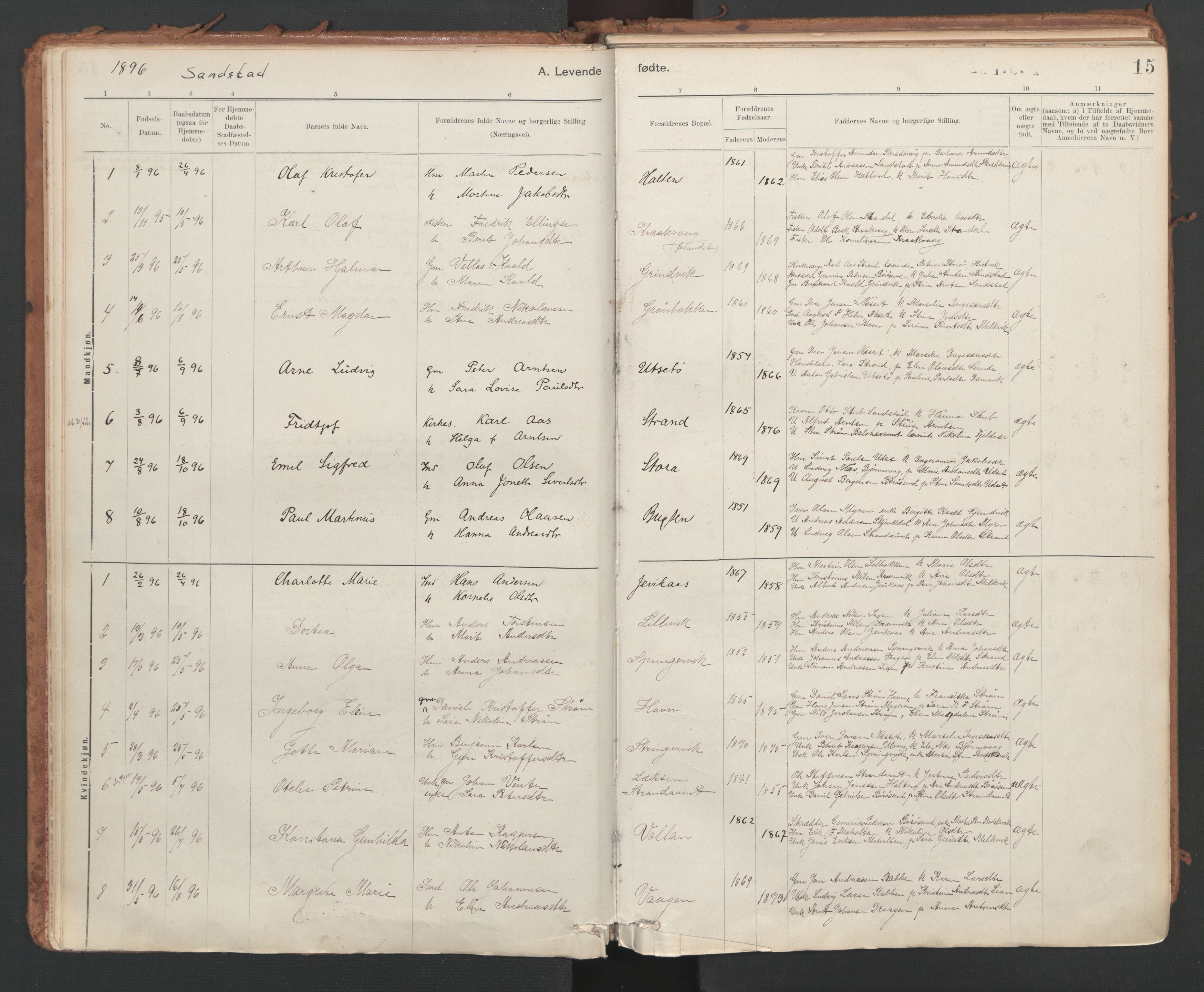 Ministerialprotokoller, klokkerbøker og fødselsregistre - Sør-Trøndelag, SAT/A-1456/639/L0572: Parish register (official) no. 639A01, 1890-1920, p. 15