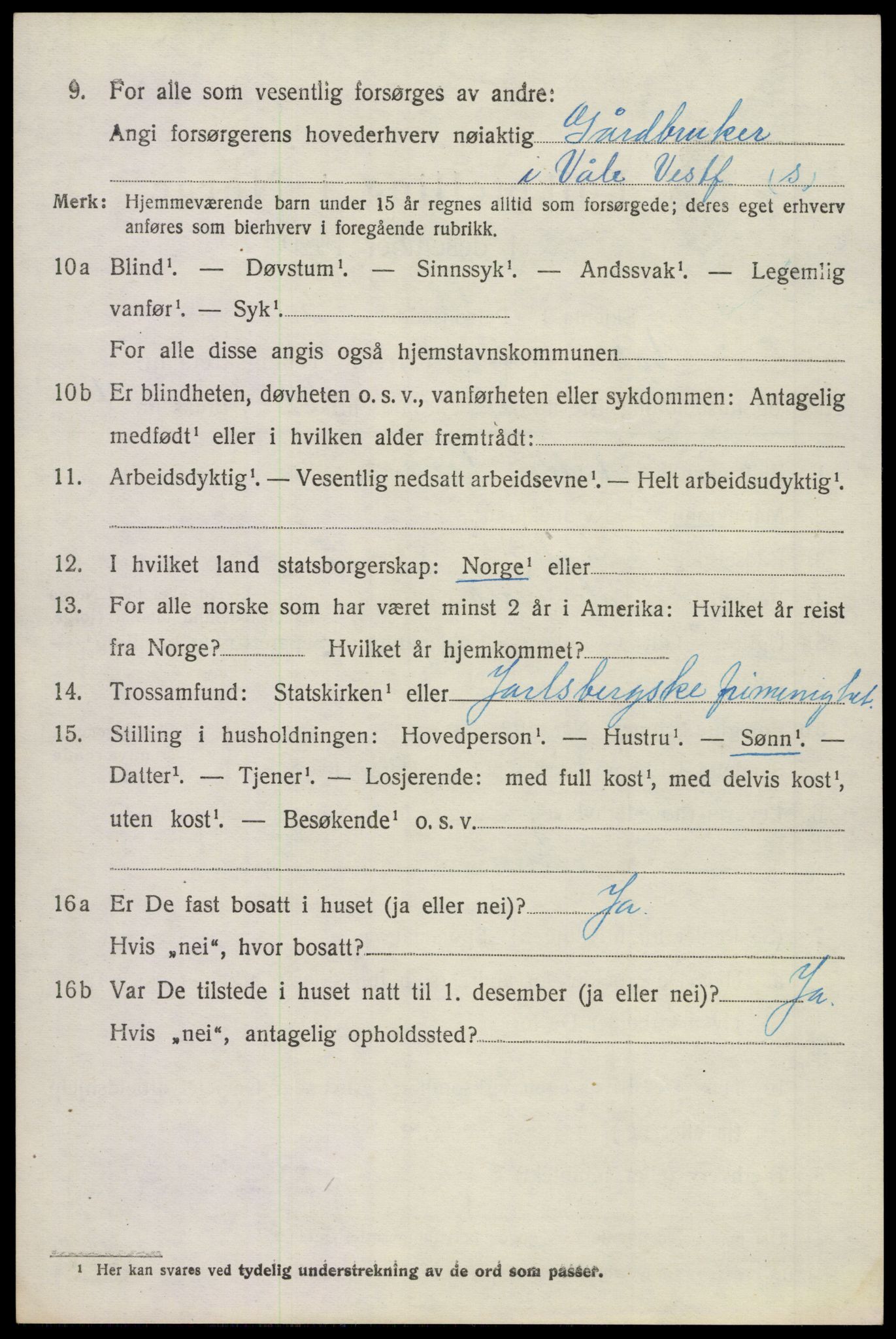 SAKO, 1920 census for Våle, 1920, p. 2303