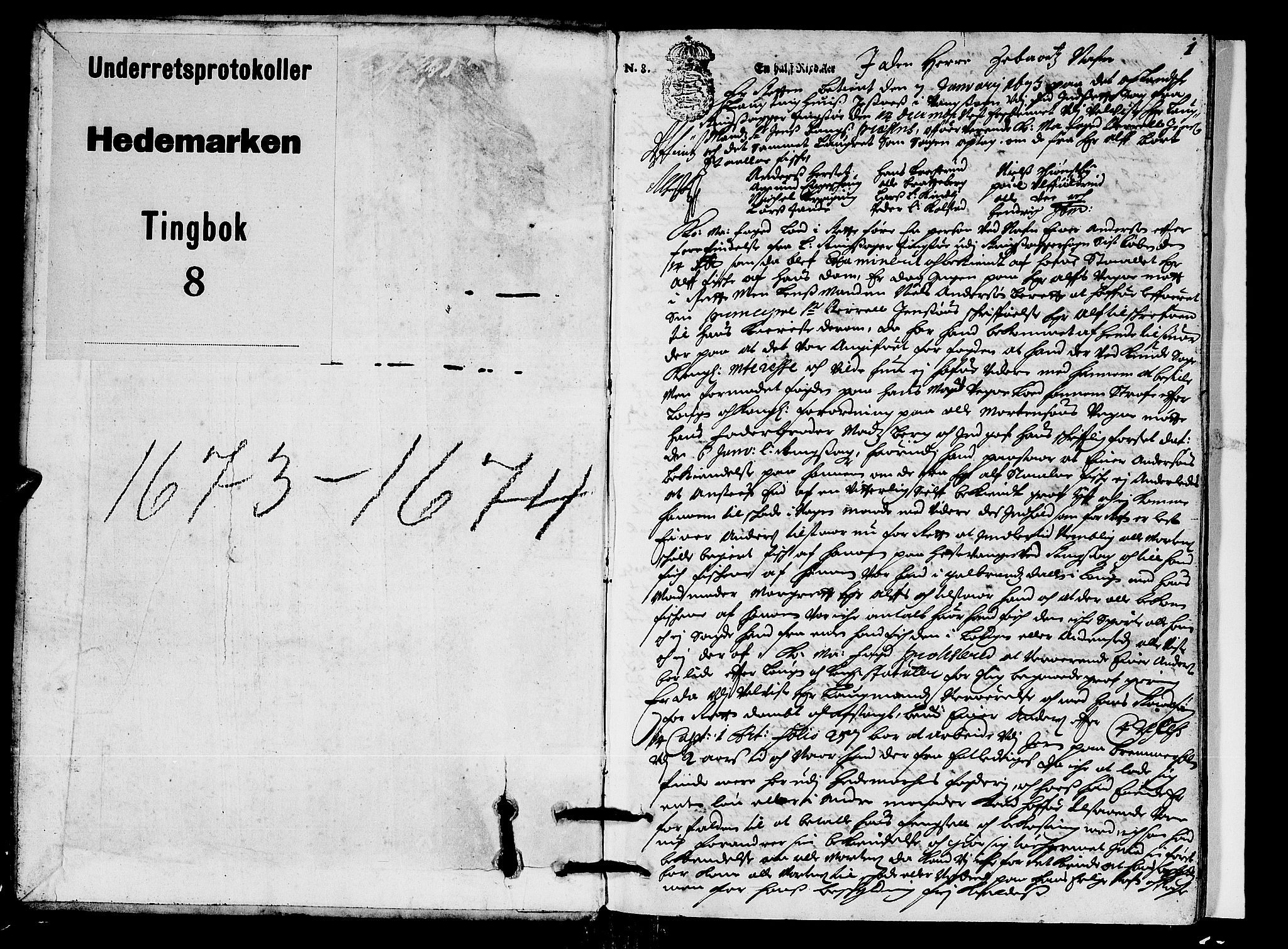 Hedemarken sorenskriveri, SAH/TING-034/G/Gb/L0009: Tingbok, 1673-1674, p. 0b-1a