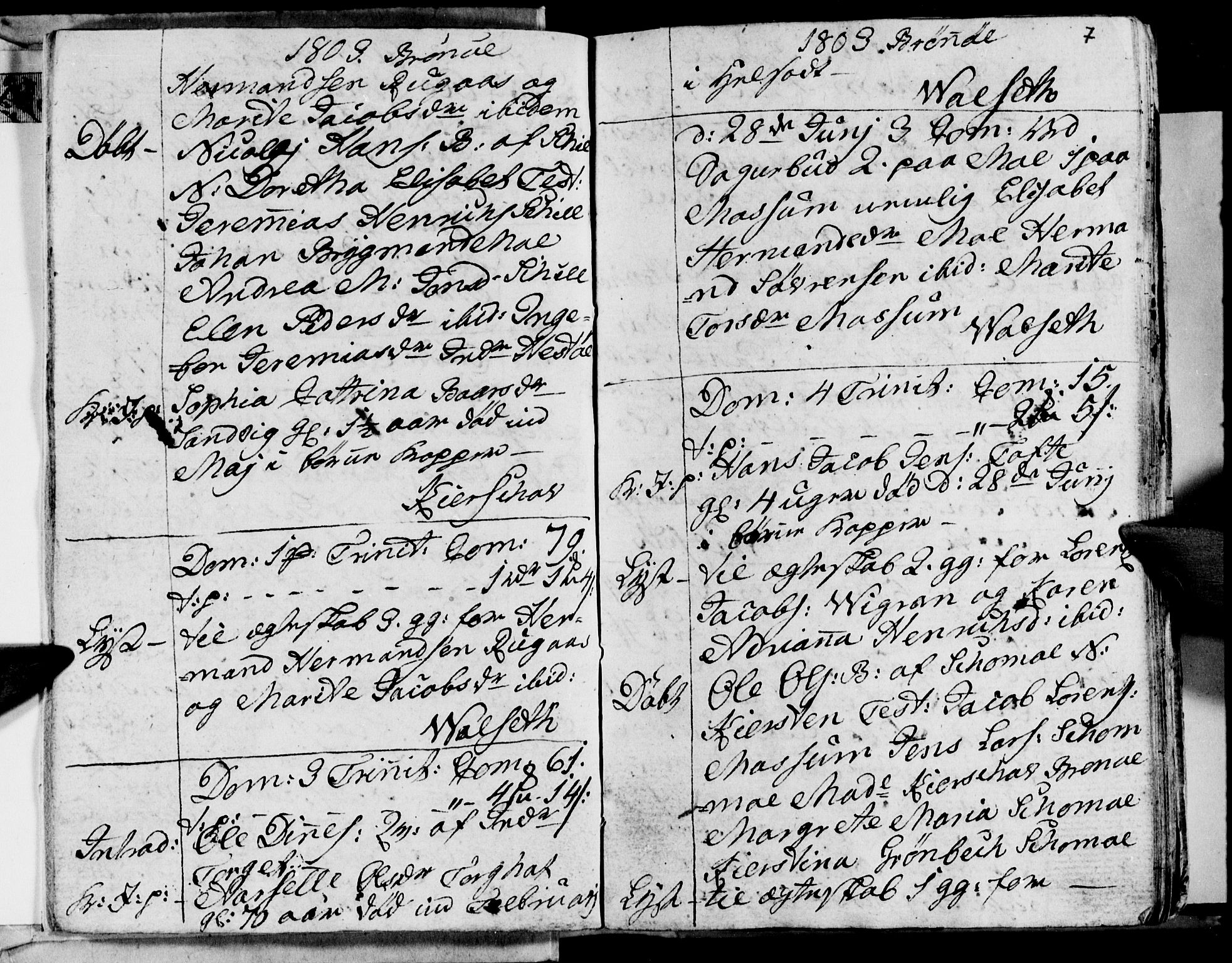 Ministerialprotokoller, klokkerbøker og fødselsregistre - Nordland, SAT/A-1459/813/L0209: Parish register (copy) no. 813C01, 1803-1821, p. 7