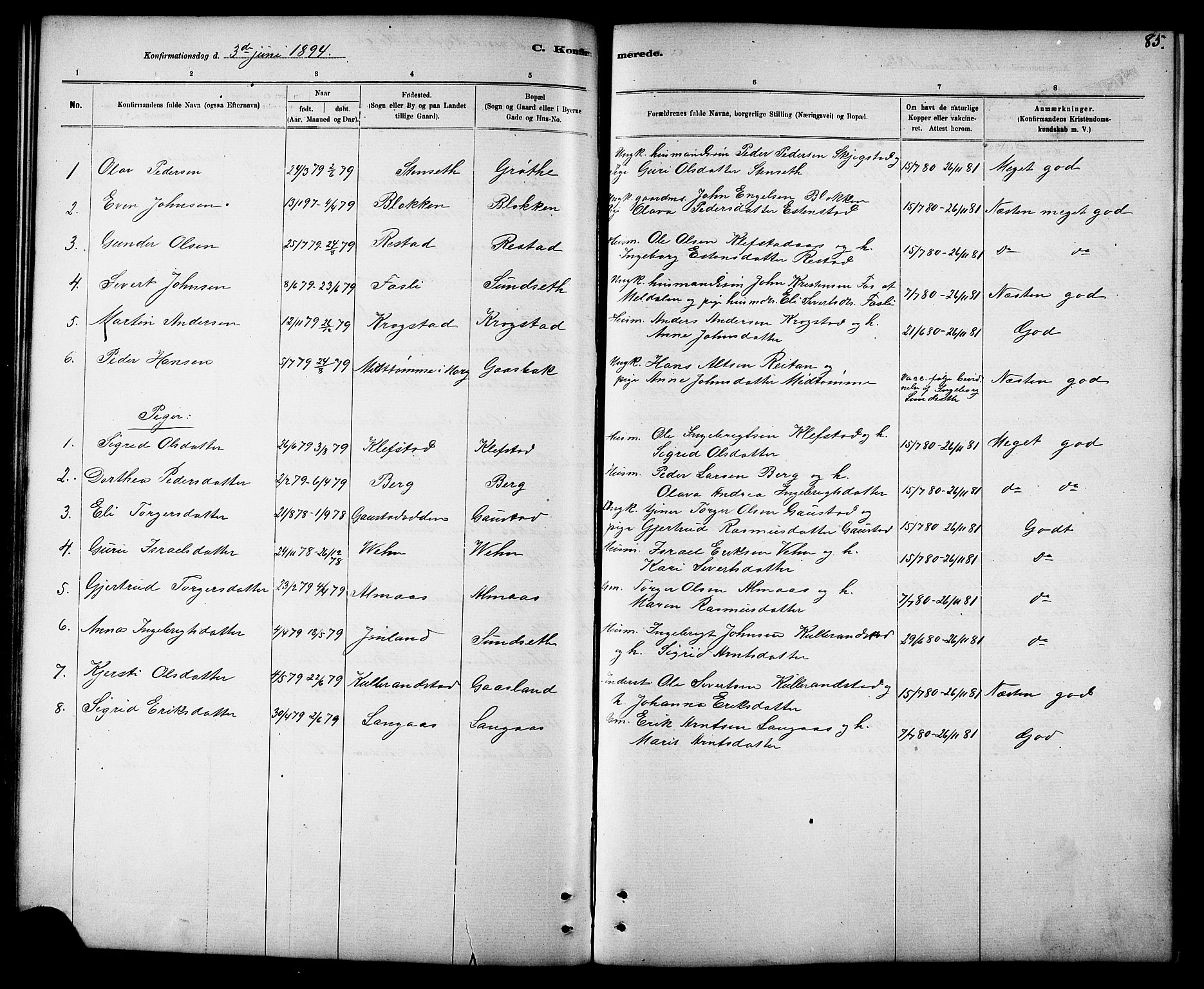 Ministerialprotokoller, klokkerbøker og fødselsregistre - Sør-Trøndelag, SAT/A-1456/694/L1132: Parish register (copy) no. 694C04, 1887-1914, p. 85