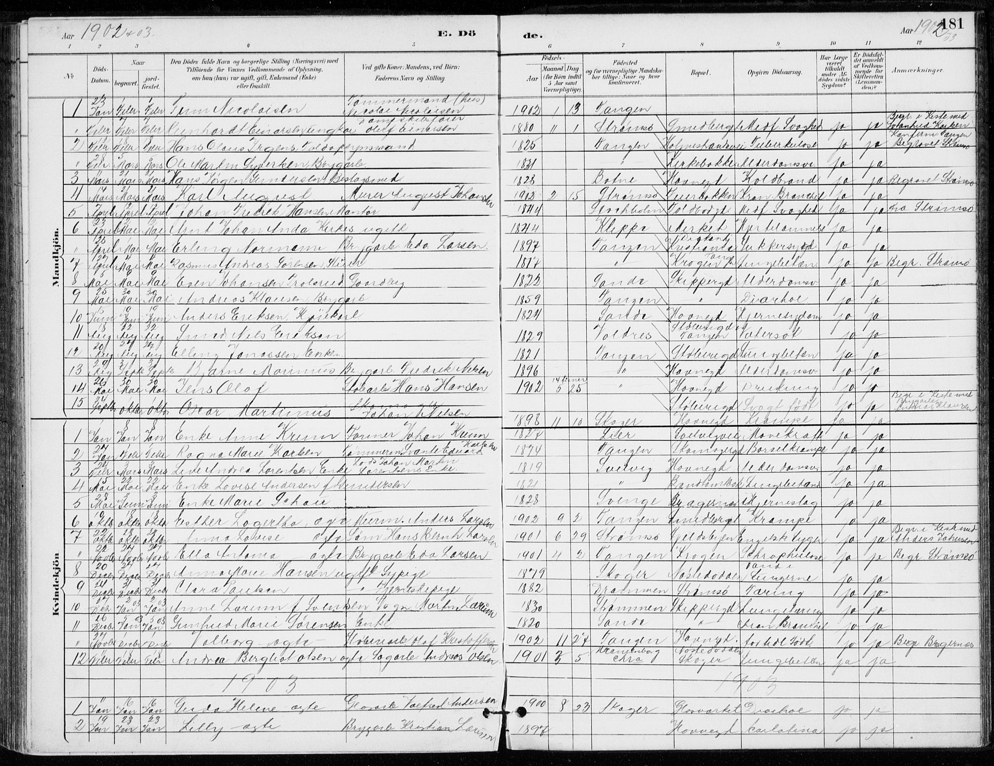 Strømsø kirkebøker, AV/SAKO-A-246/F/Fb/L0007: Parish register (official) no. II 7, 1887-1928, p. 181