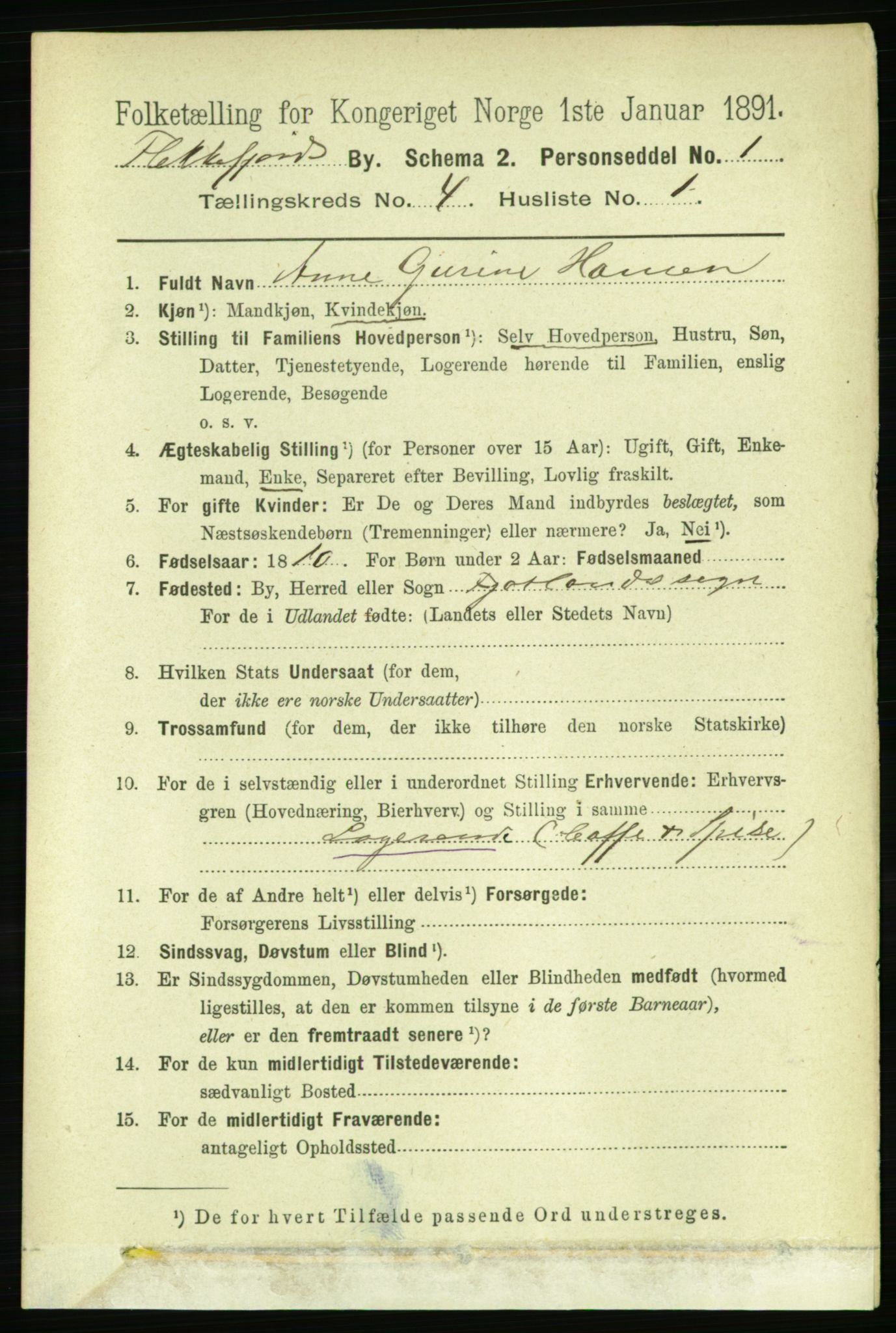 RA, 1891 census for 1004 Flekkefjord, 1891, p. 1025