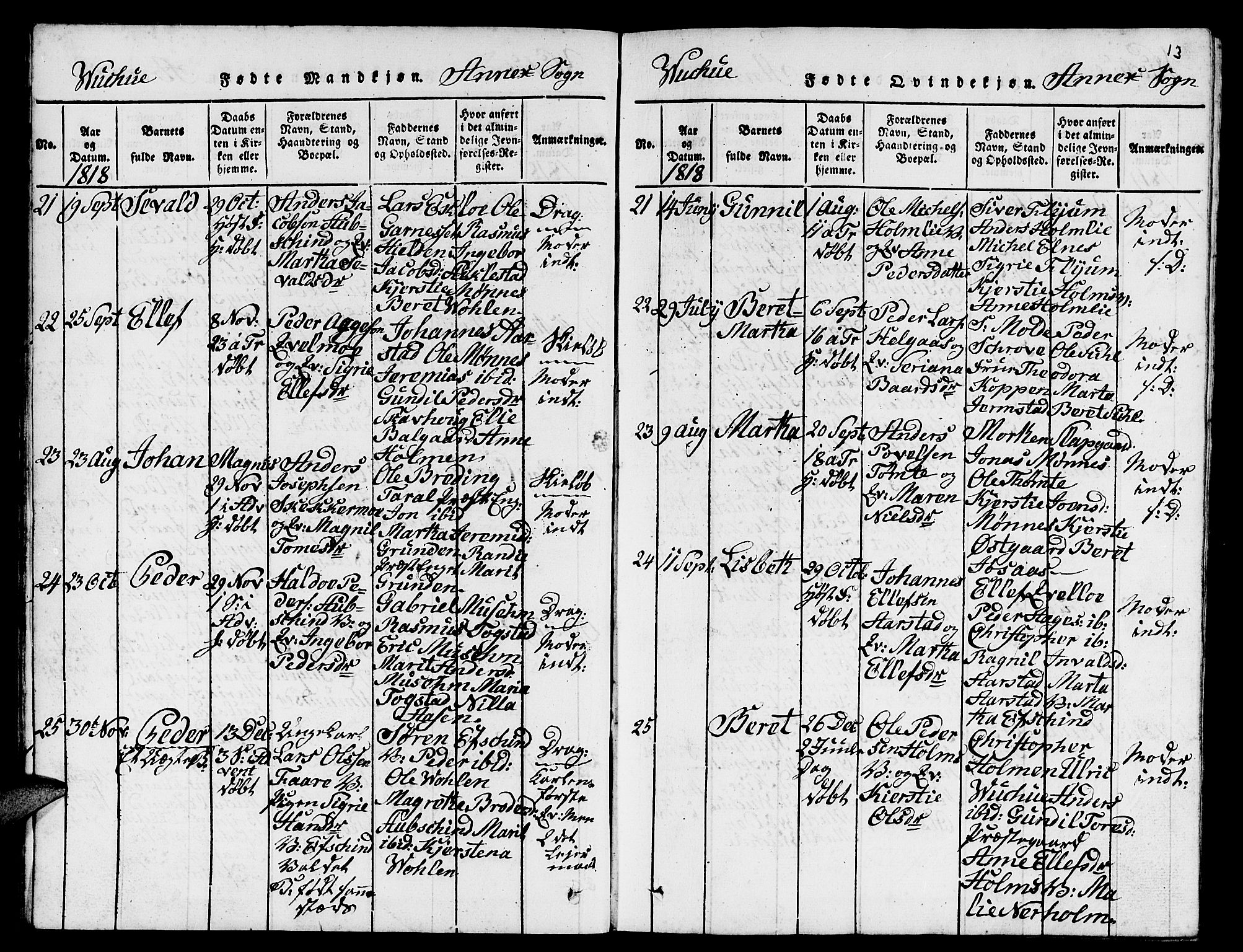 Ministerialprotokoller, klokkerbøker og fødselsregistre - Nord-Trøndelag, SAT/A-1458/724/L0265: Parish register (copy) no. 724C01, 1816-1845, p. 13