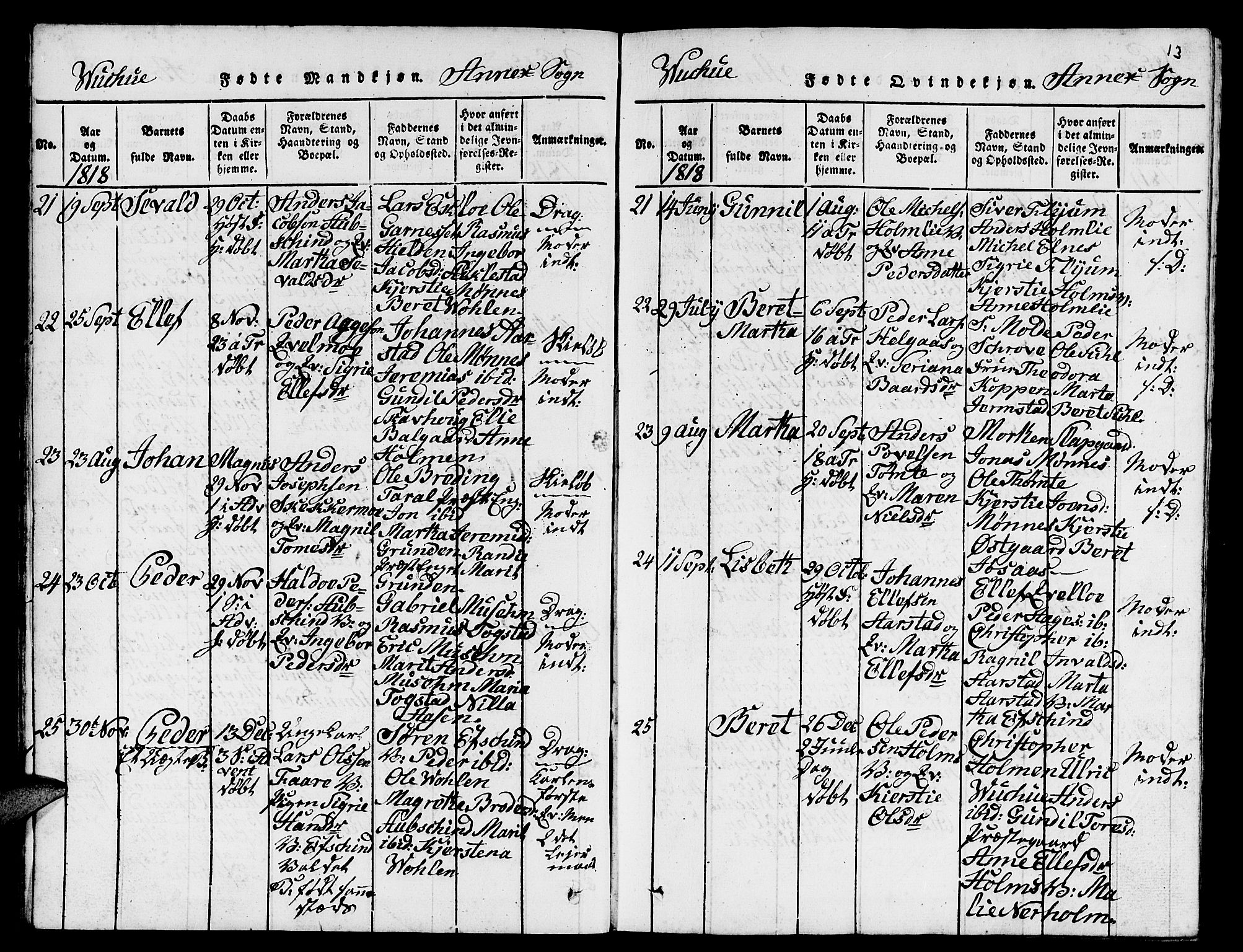 Ministerialprotokoller, klokkerbøker og fødselsregistre - Nord-Trøndelag, AV/SAT-A-1458/724/L0265: Parish register (copy) no. 724C01, 1816-1845, p. 13