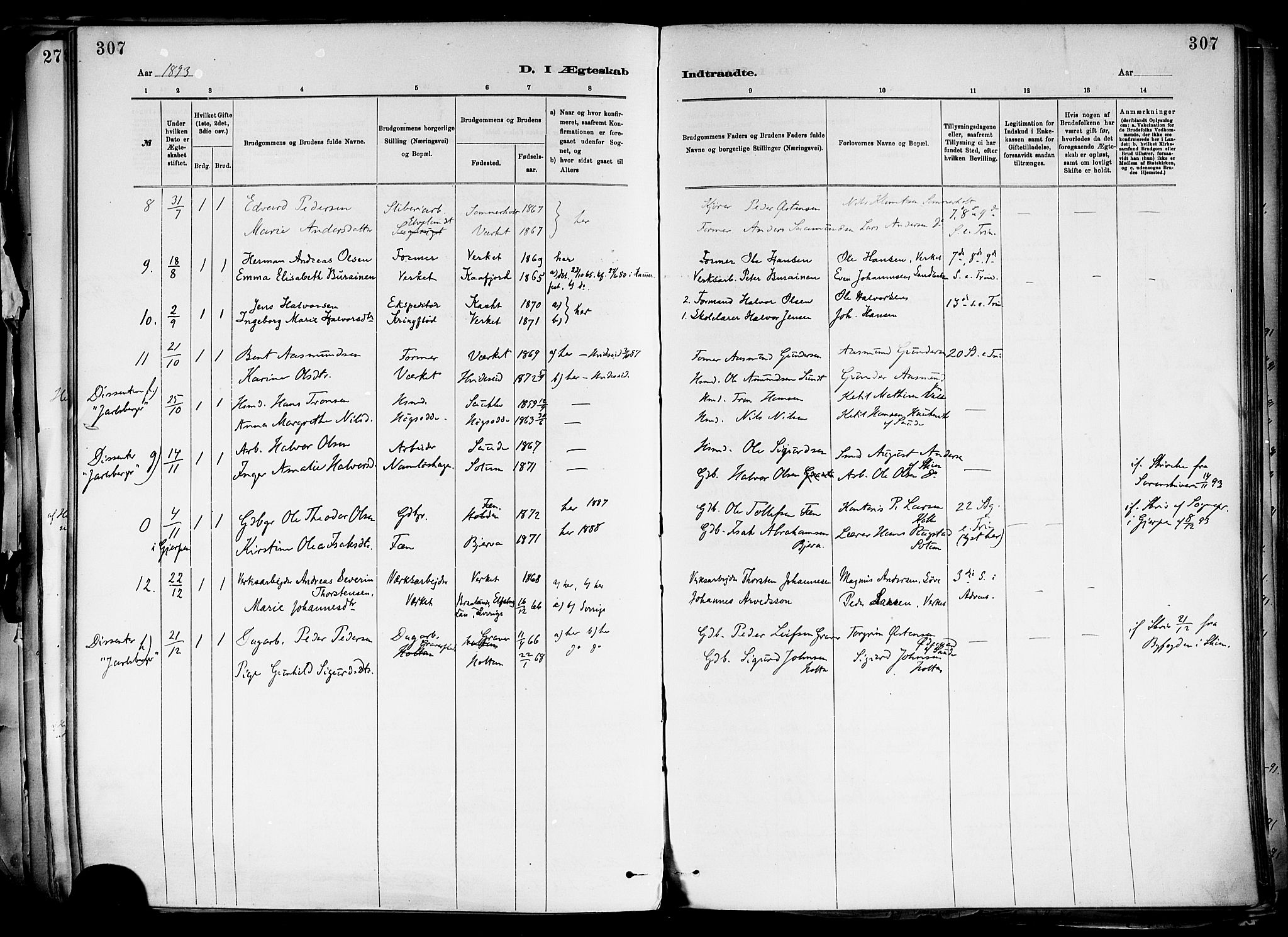 Holla kirkebøker, SAKO/A-272/F/Fa/L0008: Parish register (official) no. 8, 1882-1897, p. 307