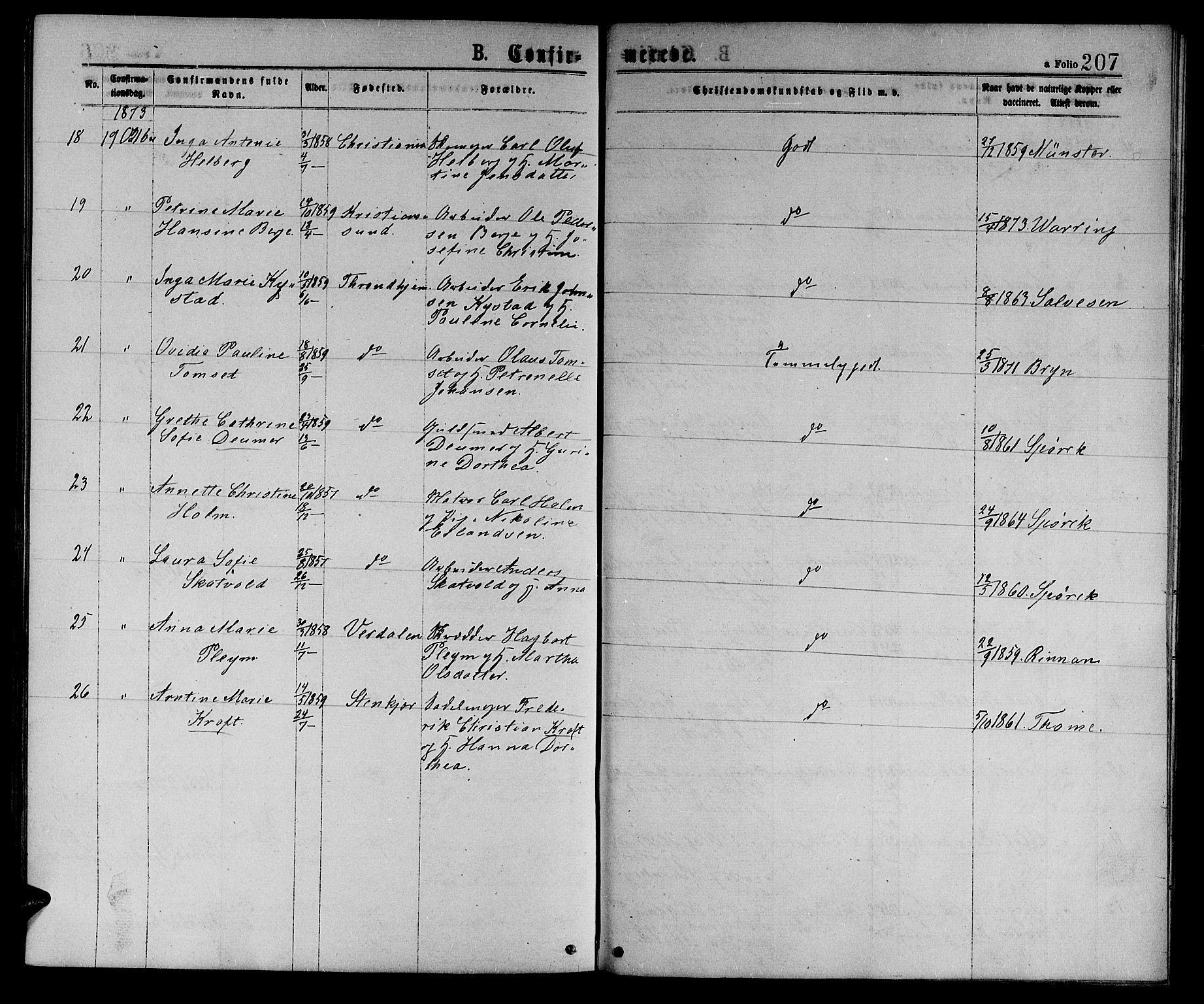 Ministerialprotokoller, klokkerbøker og fødselsregistre - Sør-Trøndelag, SAT/A-1456/601/L0088: Parish register (copy) no. 601C06, 1870-1878, p. 207
