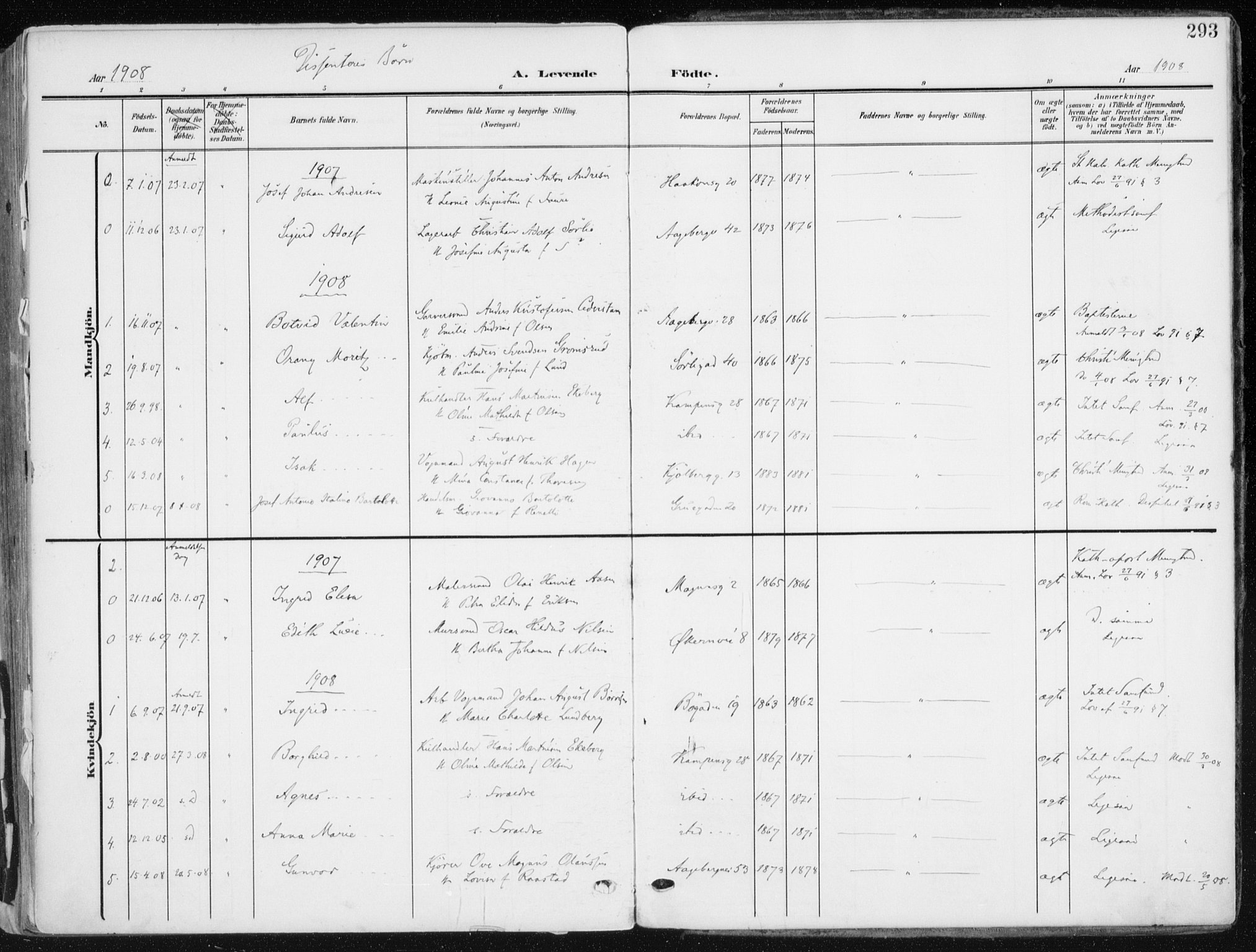 Kampen prestekontor Kirkebøker, SAO/A-10853/F/Fa/L0010: Parish register (official) no. I 10, 1905-1917, p. 293