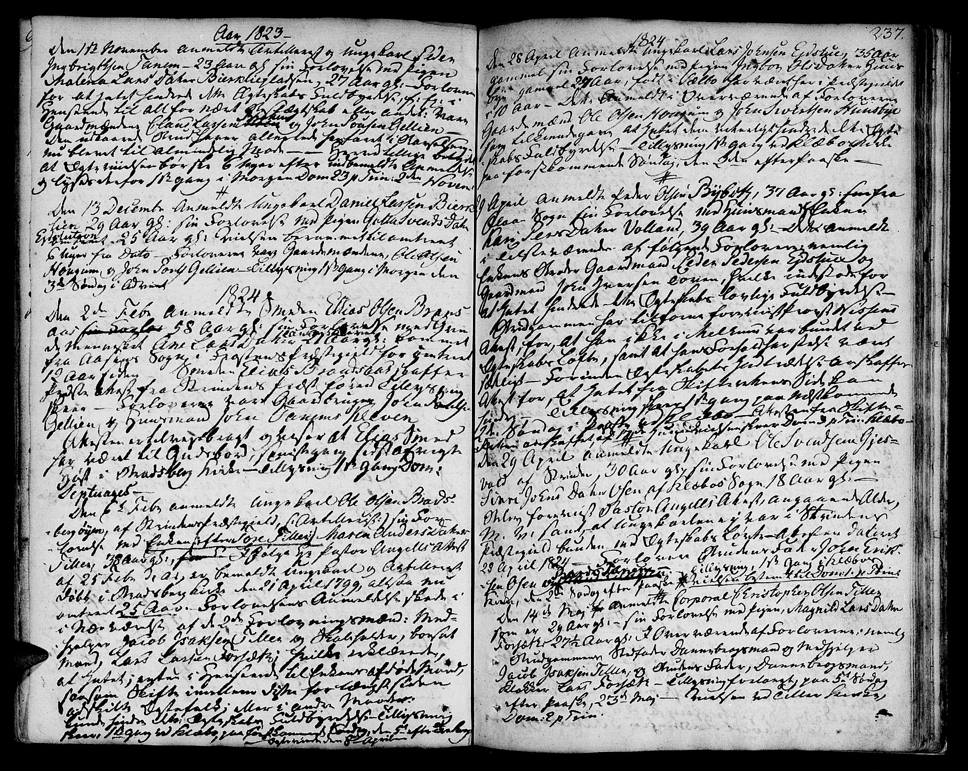Ministerialprotokoller, klokkerbøker og fødselsregistre - Sør-Trøndelag, SAT/A-1456/618/L0438: Parish register (official) no. 618A03, 1783-1815, p. 237