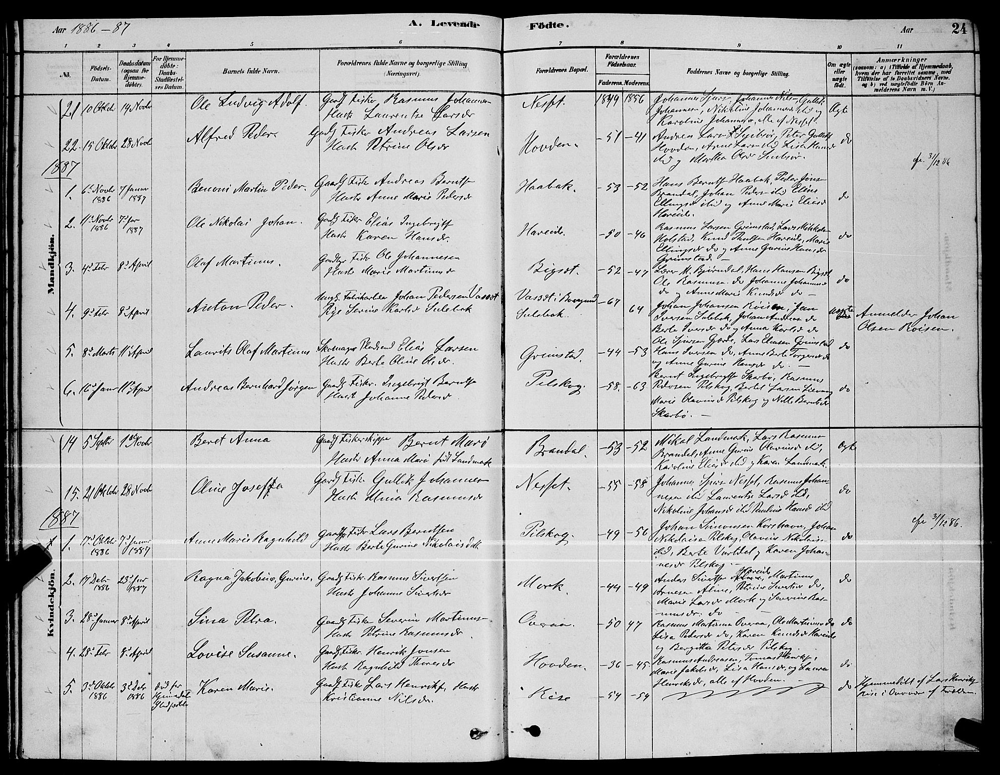 Ministerialprotokoller, klokkerbøker og fødselsregistre - Møre og Romsdal, AV/SAT-A-1454/510/L0125: Parish register (copy) no. 510C02, 1878-1900, p. 24