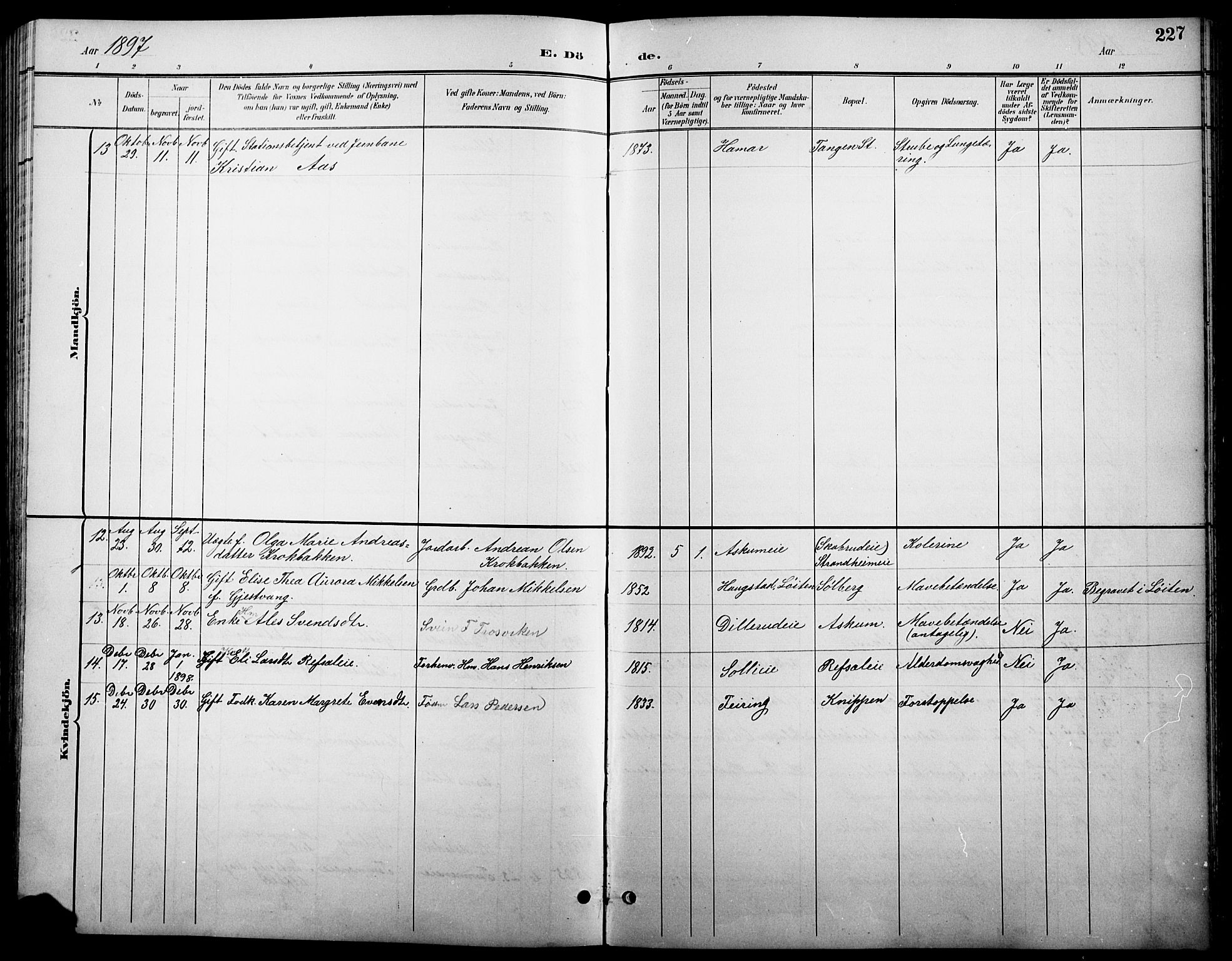 Stange prestekontor, SAH/PREST-002/L/L0011: Parish register (copy) no. 11, 1895-1917, p. 227