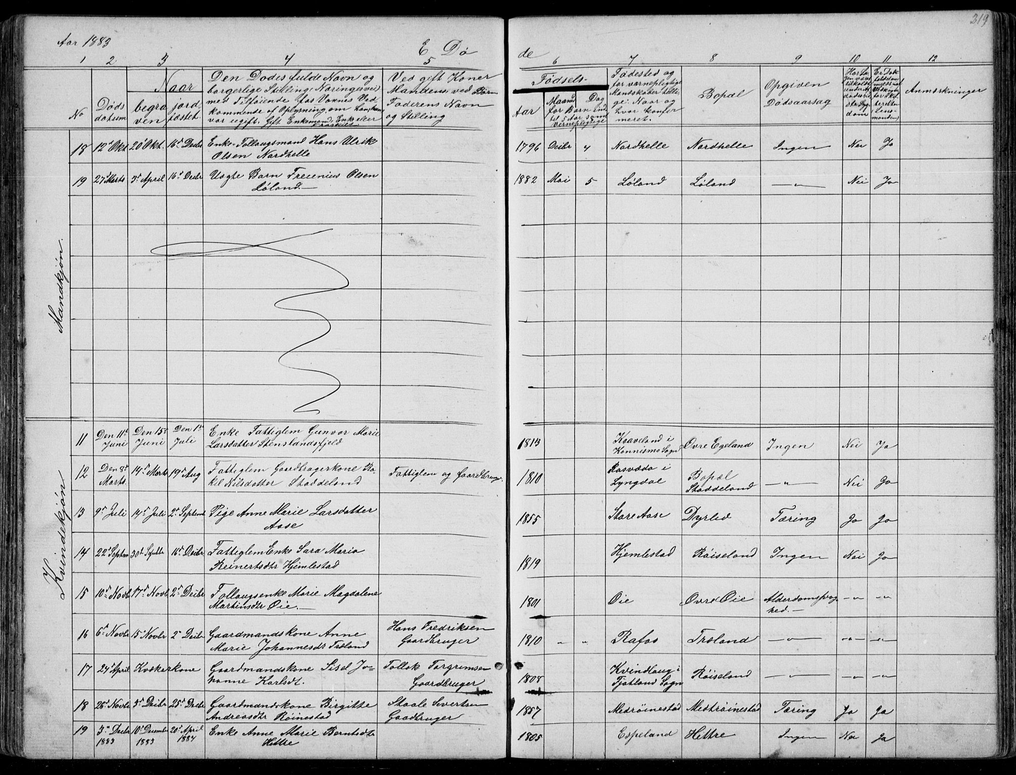 Kvinesdal sokneprestkontor, AV/SAK-1111-0026/F/Fb/Fbb/L0002: Parish register (copy) no. B 2, 1873-1897, p. 219