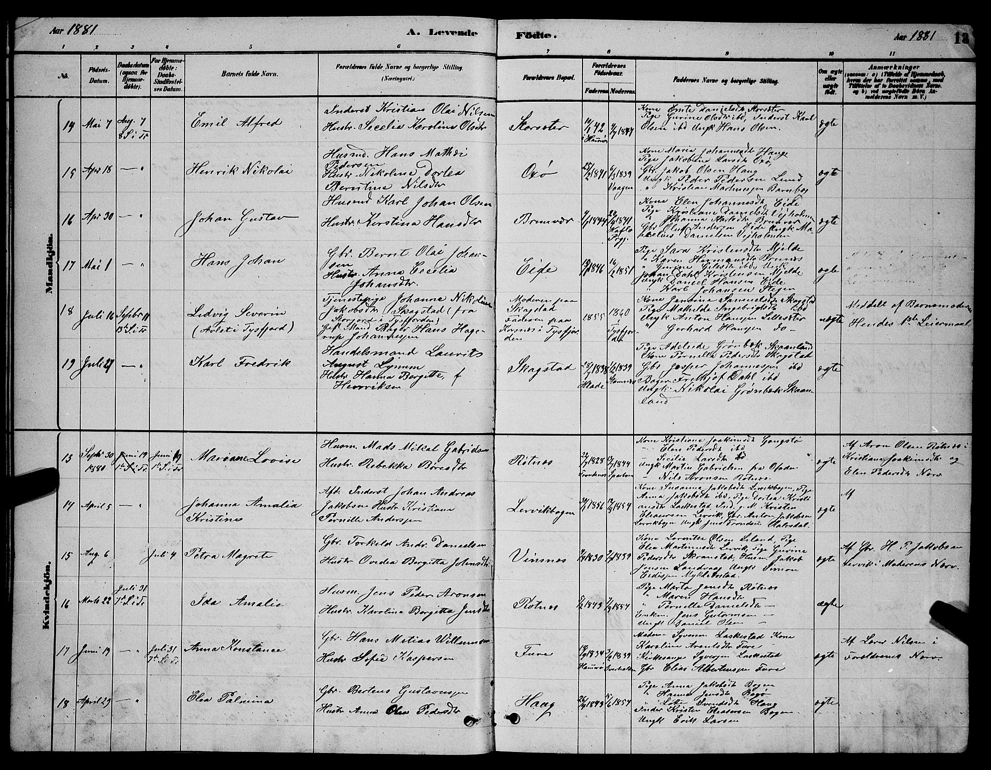 Ministerialprotokoller, klokkerbøker og fødselsregistre - Nordland, AV/SAT-A-1459/855/L0816: Parish register (copy) no. 855C05, 1879-1894, p. 13