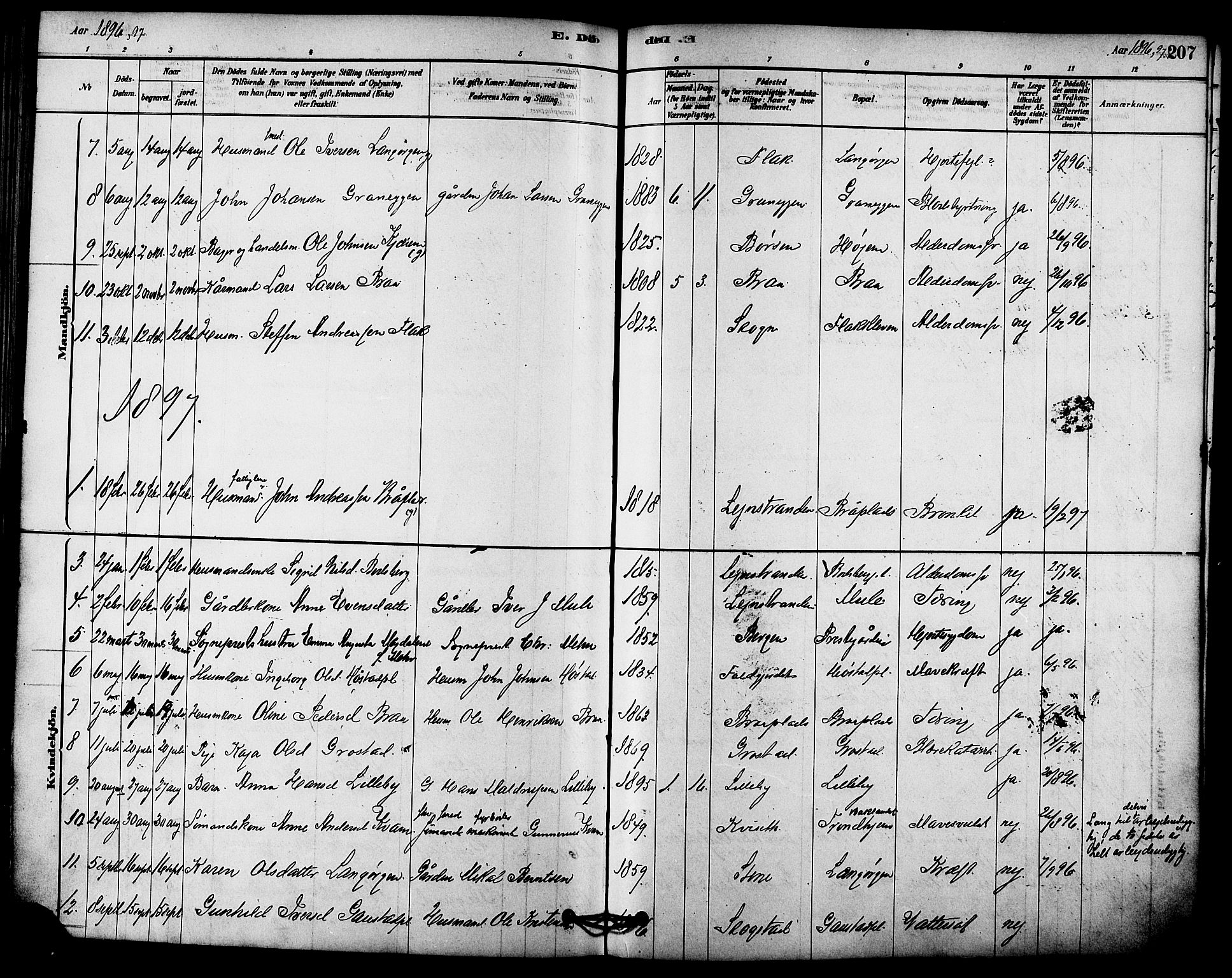 Ministerialprotokoller, klokkerbøker og fødselsregistre - Sør-Trøndelag, SAT/A-1456/612/L0378: Parish register (official) no. 612A10, 1878-1897, p. 207
