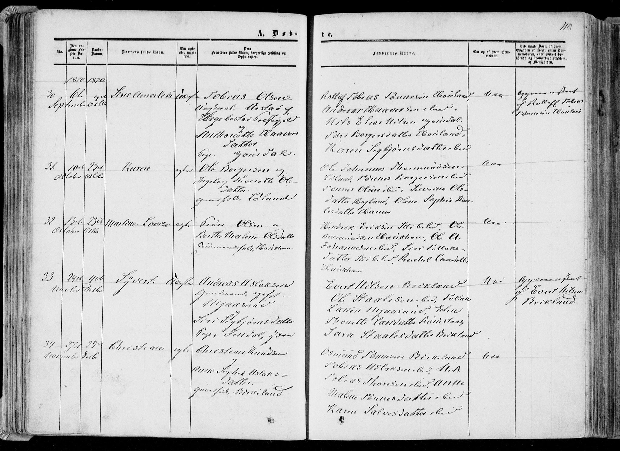 Bakke sokneprestkontor, AV/SAK-1111-0002/F/Fa/Faa/L0006: Parish register (official) no. A 6, 1855-1877, p. 110