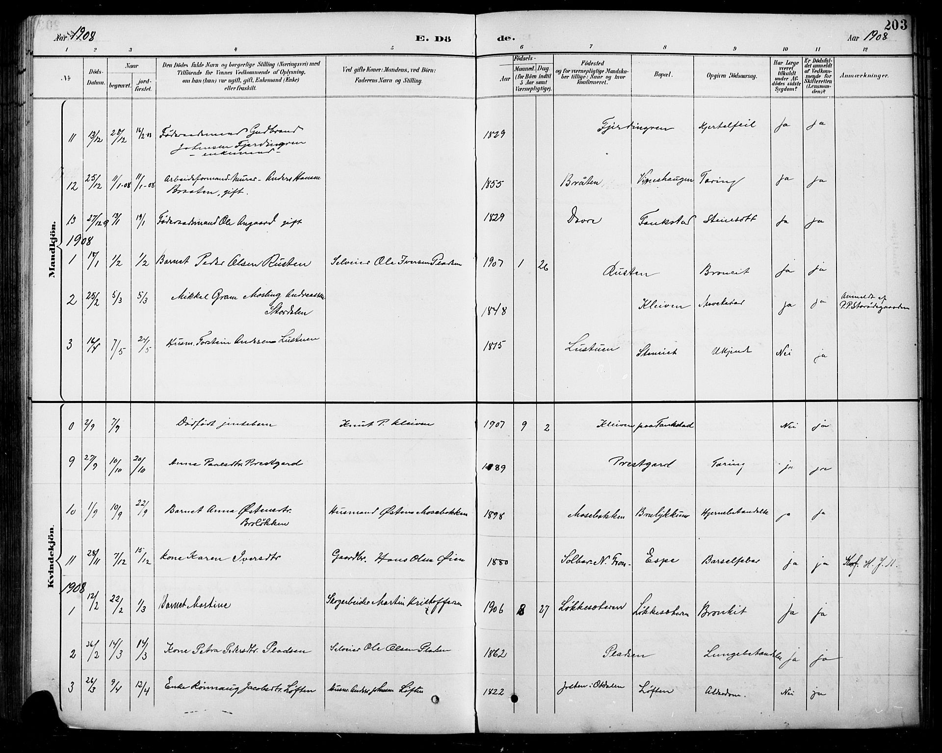 Sel prestekontor, SAH/PREST-074/H/Ha/Hab/L0005: Parish register (copy) no. 5, 1894-1923, p. 203