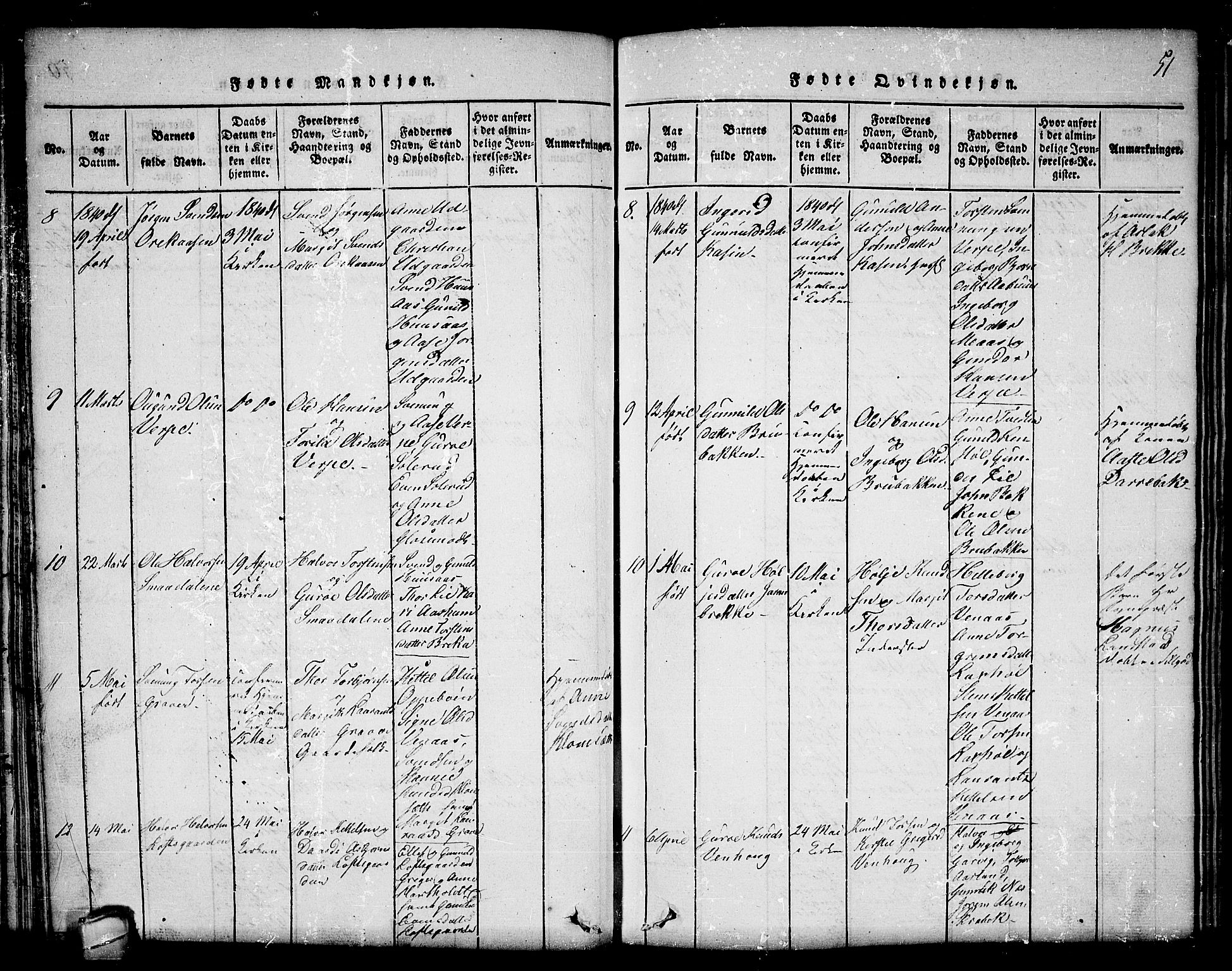 Seljord kirkebøker, AV/SAKO-A-20/F/Fc/L0001: Parish register (official) no. III 1, 1815-1831, p. 51