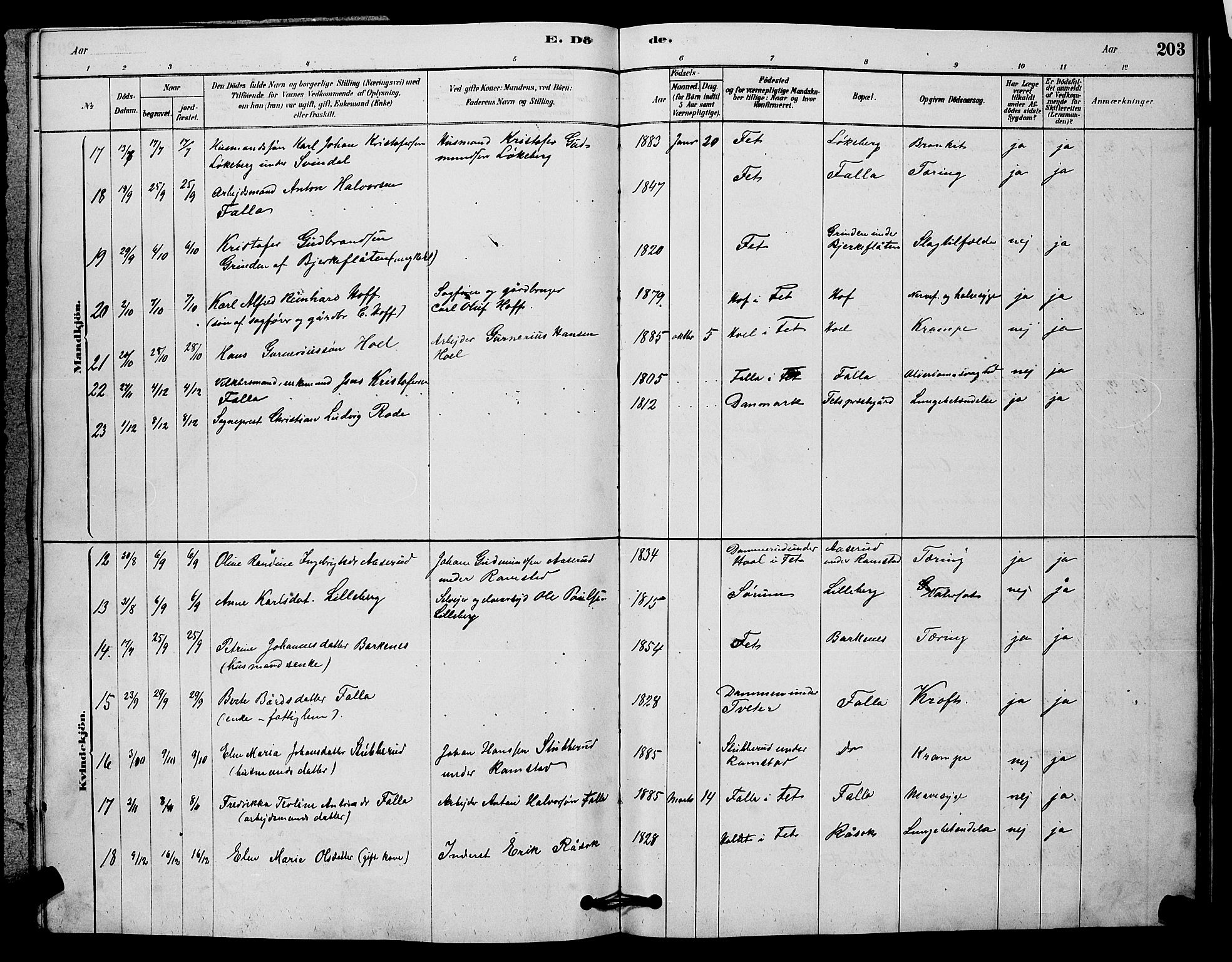 Fet prestekontor Kirkebøker, AV/SAO-A-10370a/G/Ga/L0006: Parish register (copy) no. I 6, 1878-1891, p. 203