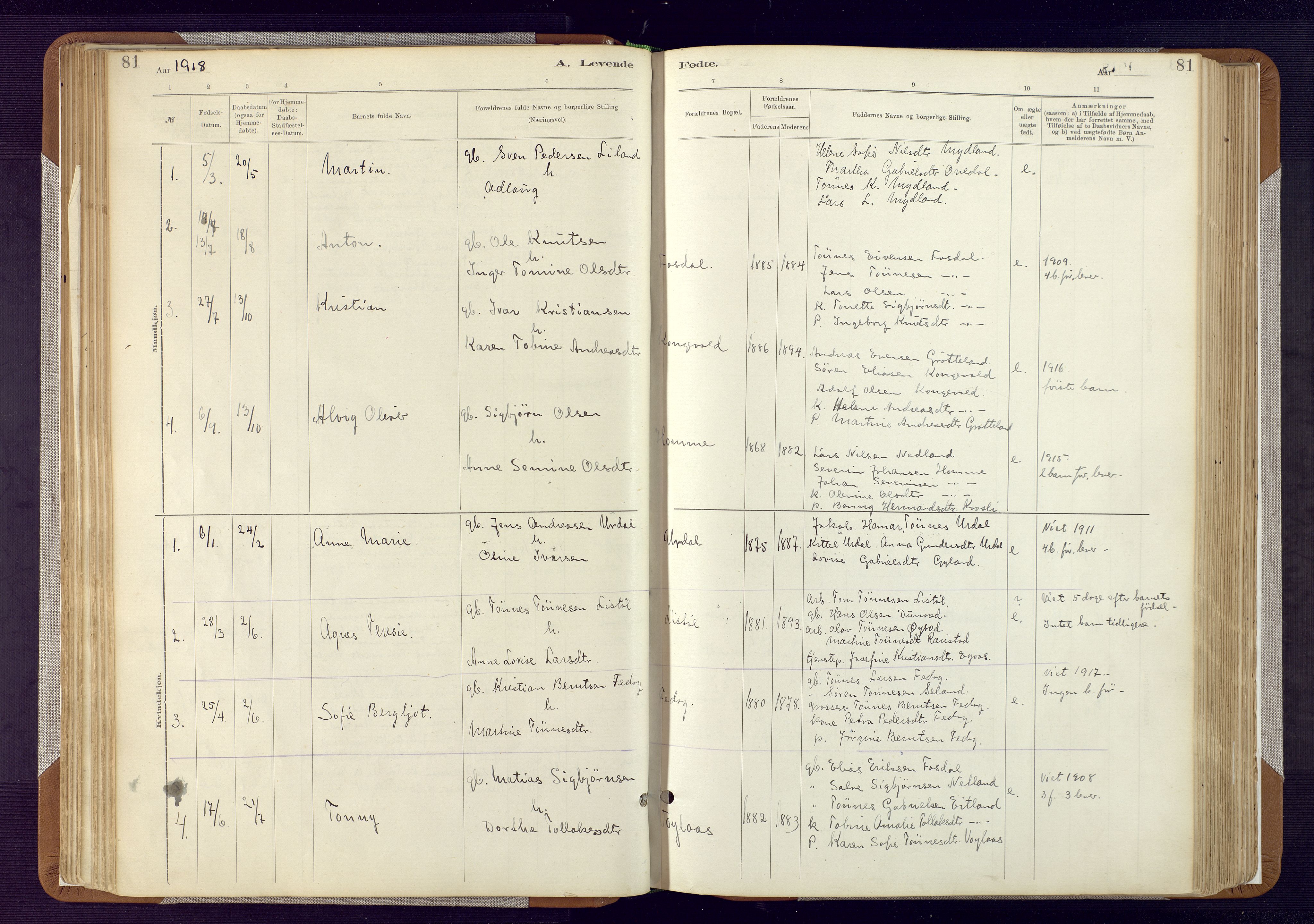 Bakke sokneprestkontor, SAK/1111-0002/F/Fa/Fab/L0003: Parish register (official) no. A 3, 1884-1921, p. 81