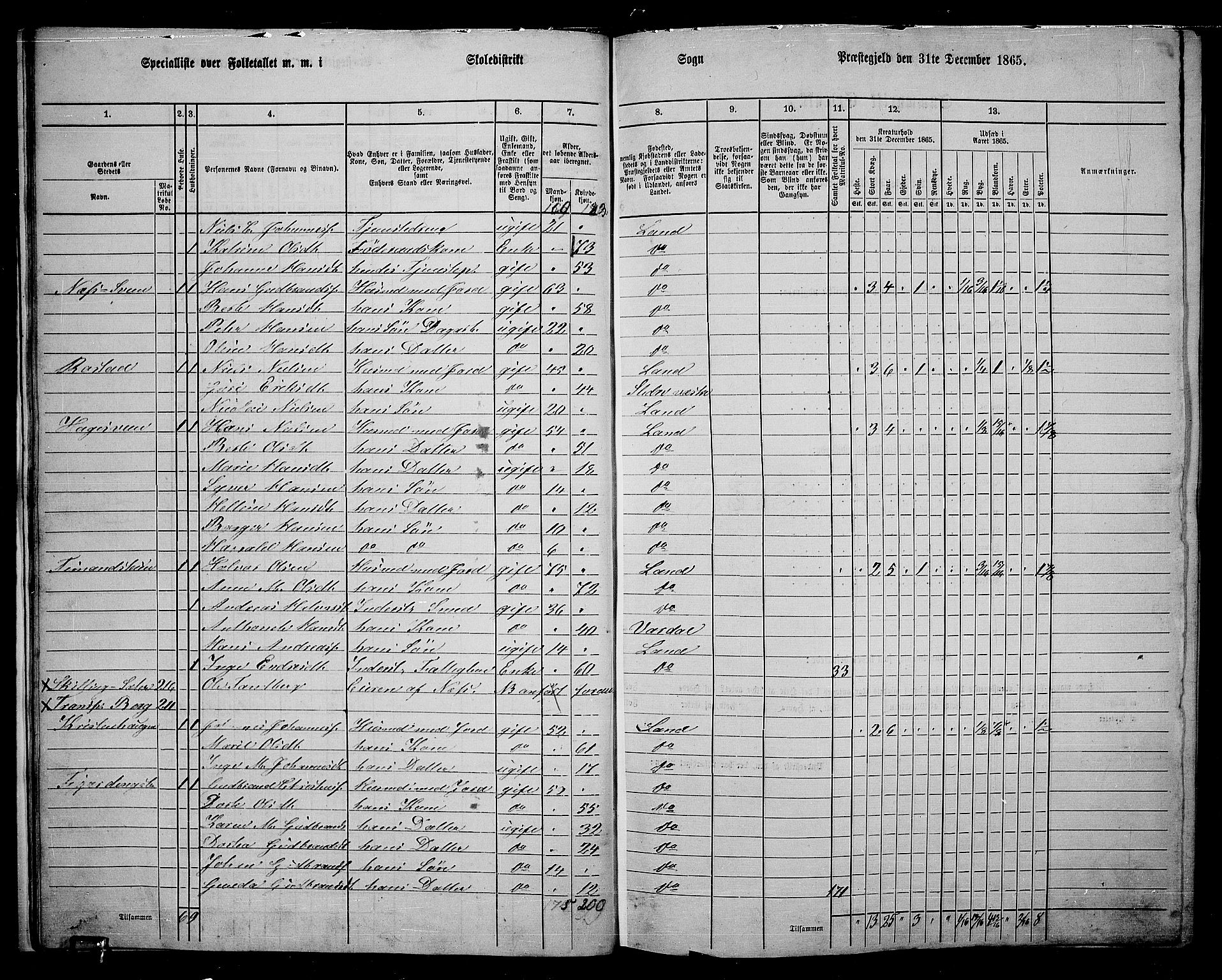 RA, 1865 census for Land, 1865, p. 228