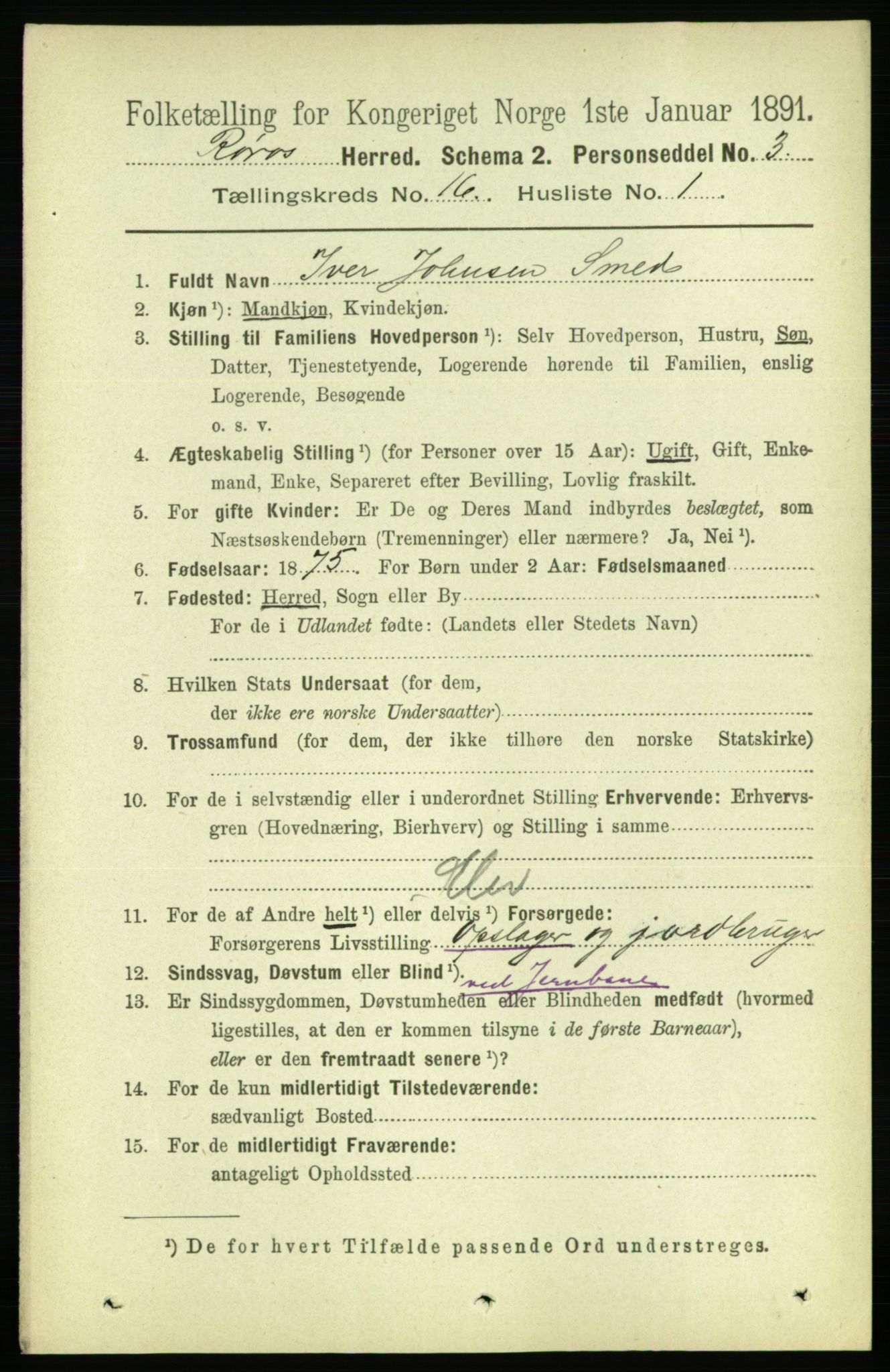 RA, 1891 census for 1640 Røros, 1891, p. 3783