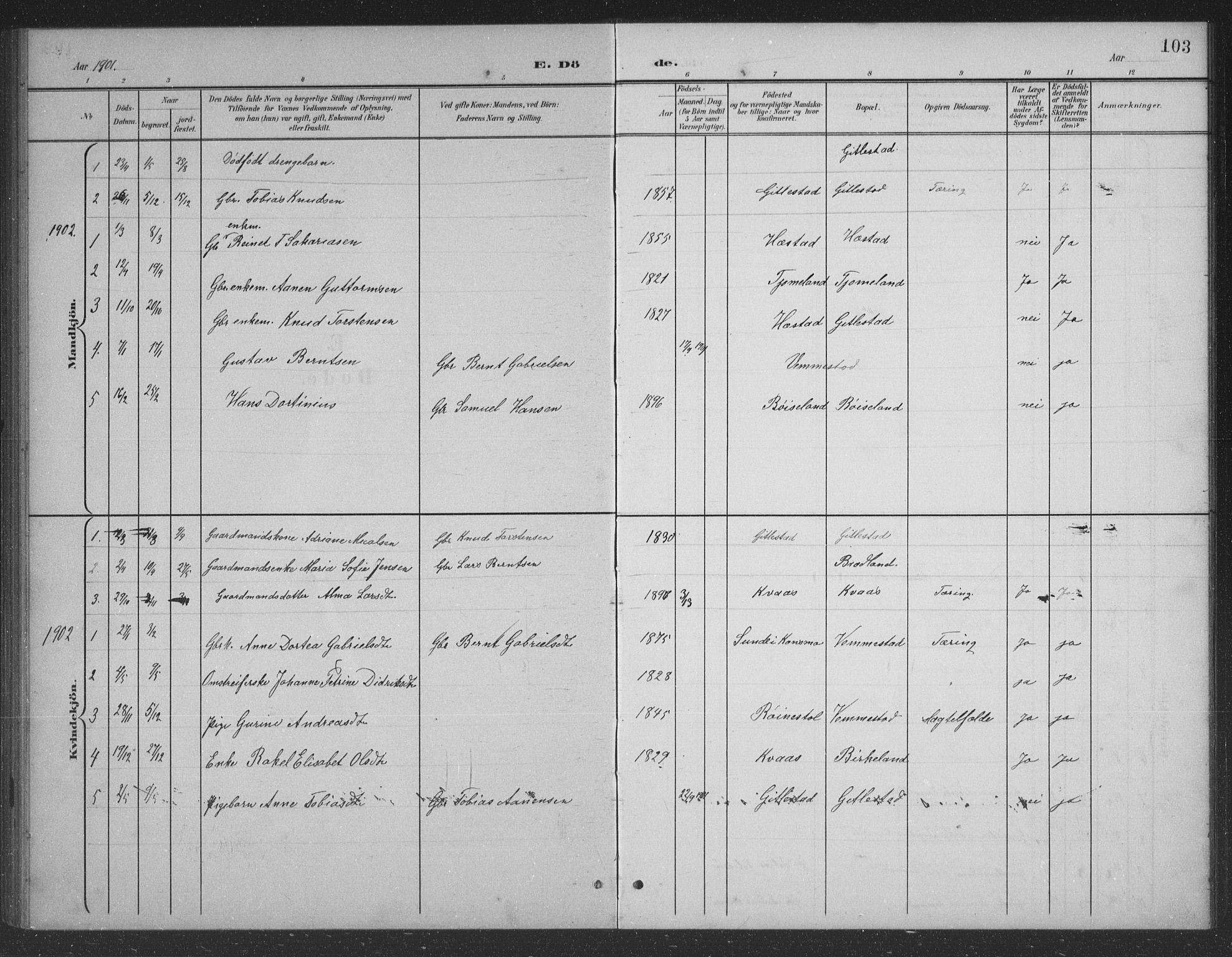 Lyngdal sokneprestkontor, AV/SAK-1111-0029/F/Fb/Fbb/L0002: Parish register (copy) no. B 2, 1901-1934, p. 103