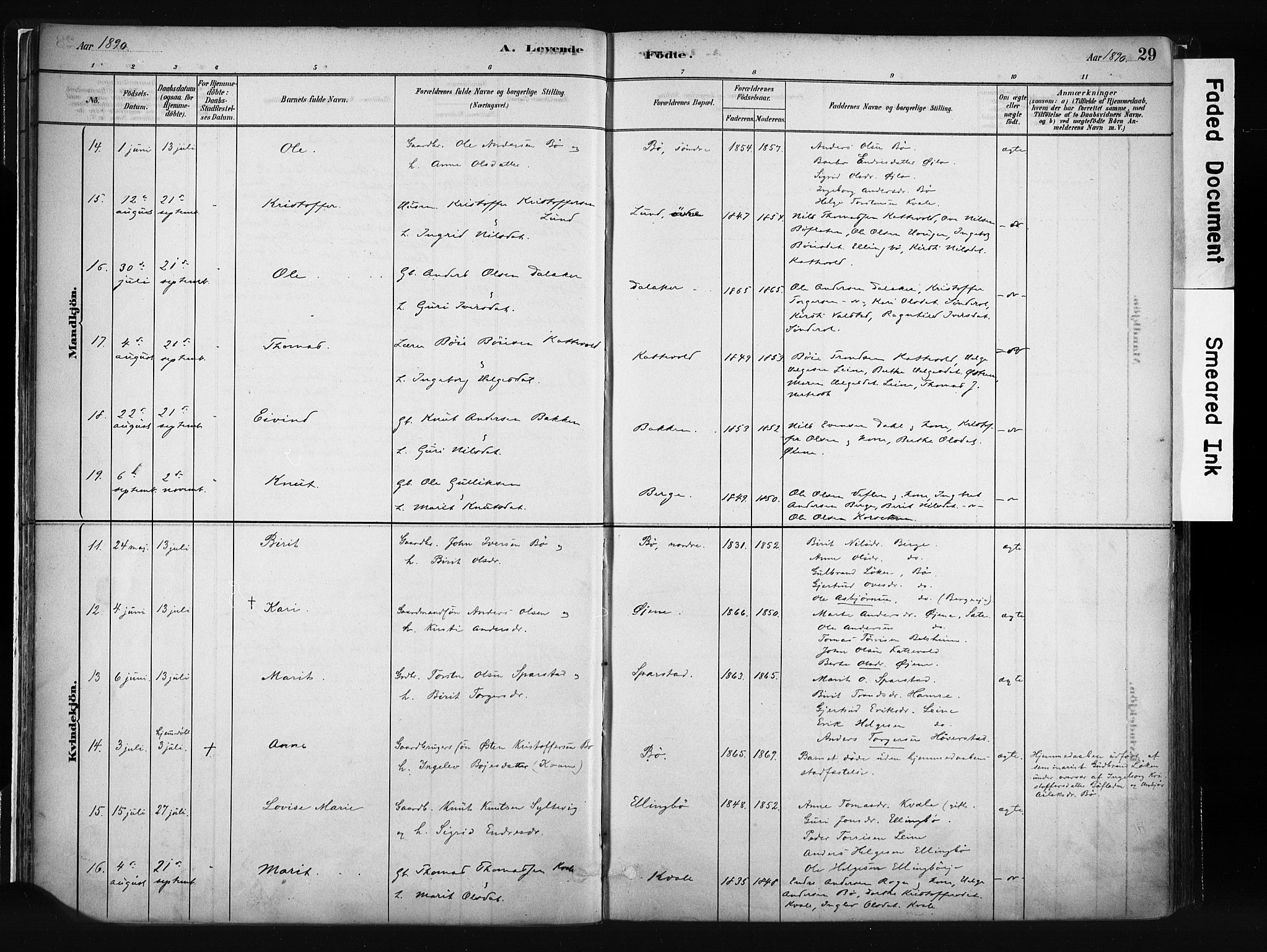 Vang prestekontor, Valdres, SAH/PREST-140/H/Ha/L0008: Parish register (official) no. 8, 1882-1910, p. 29