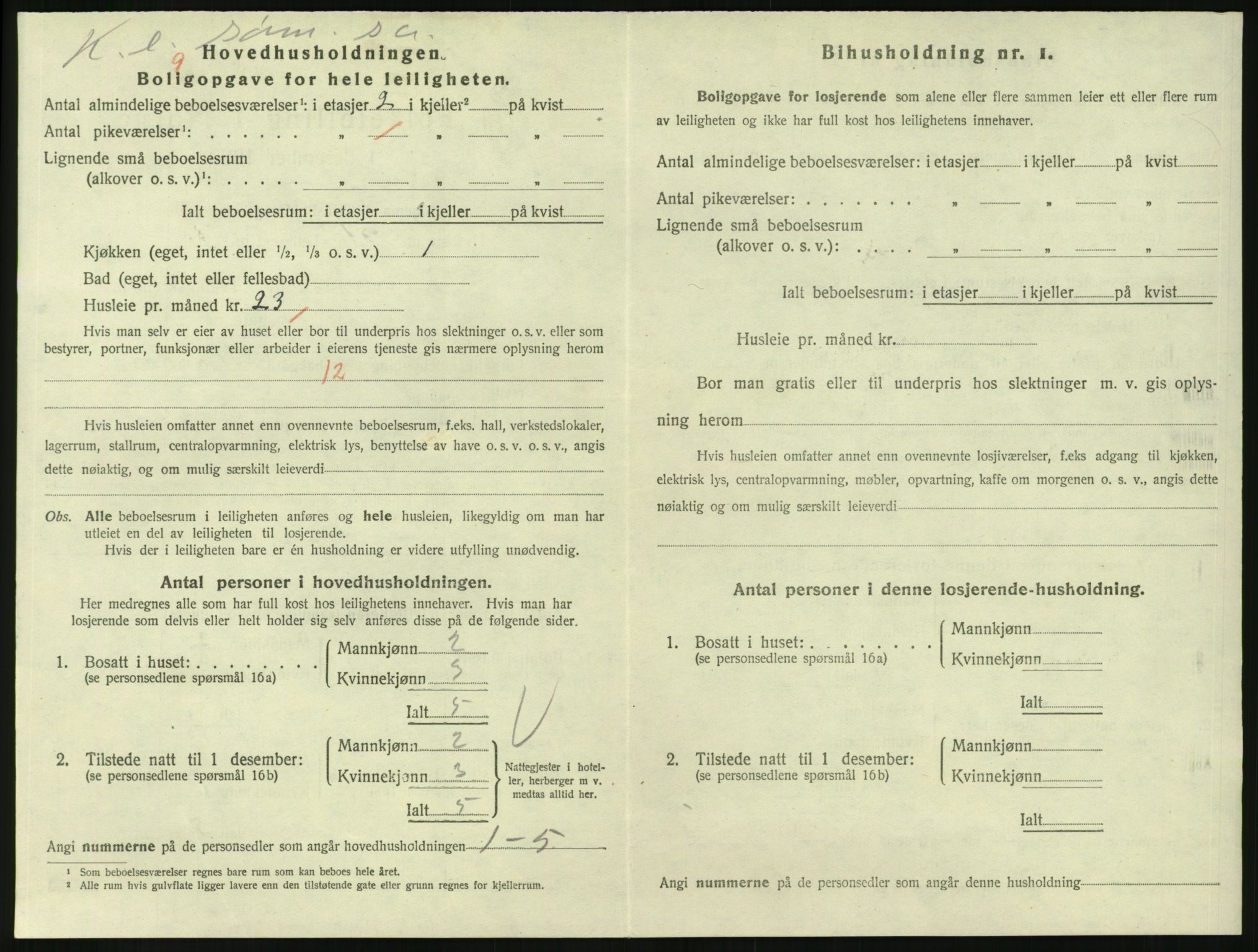 SAKO, 1920 census for Larvik, 1920, p. 4961