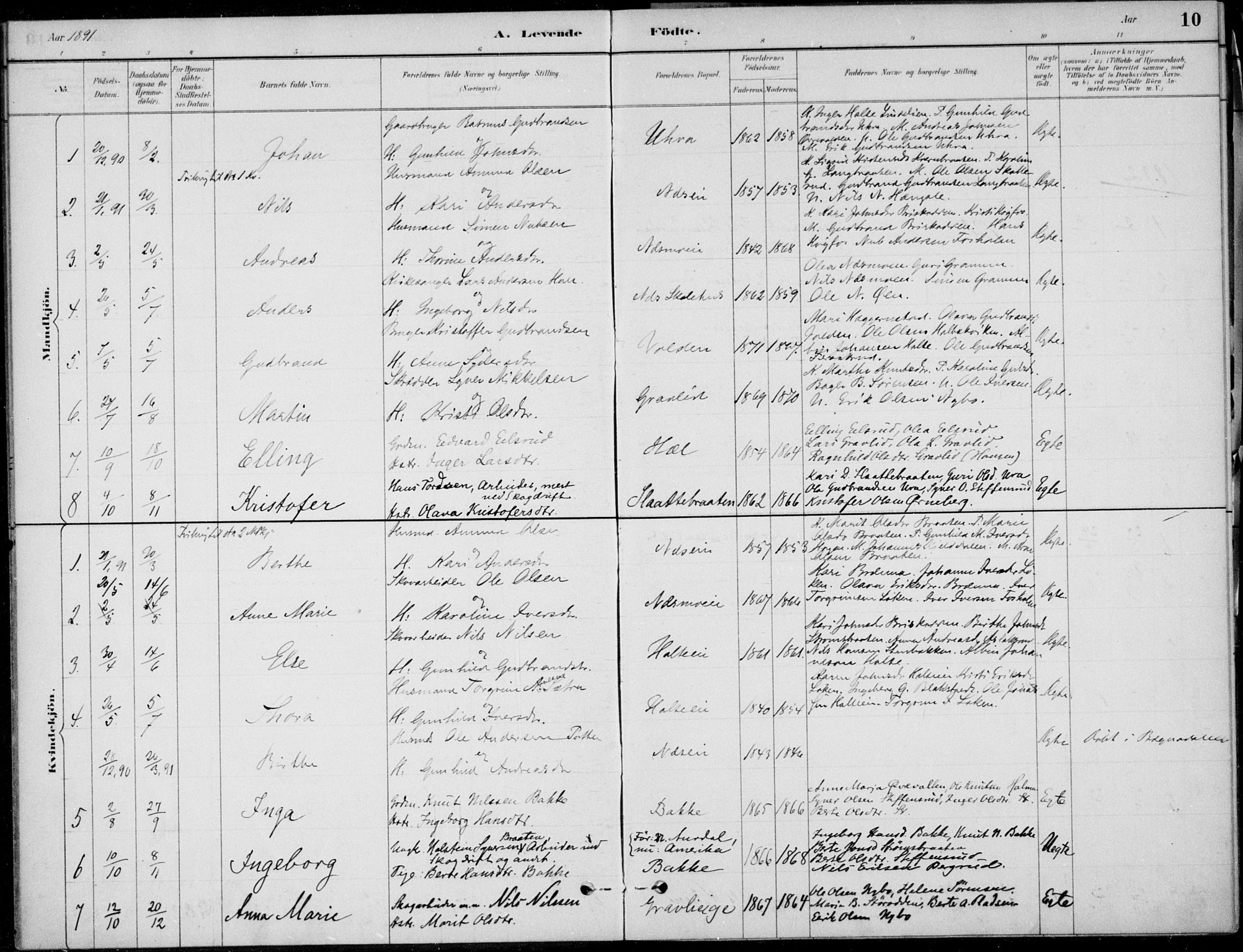 Ådal kirkebøker, AV/SAKO-A-248/F/Fa/L0004: Parish register (official) no. I 4, 1884-1904, p. 10