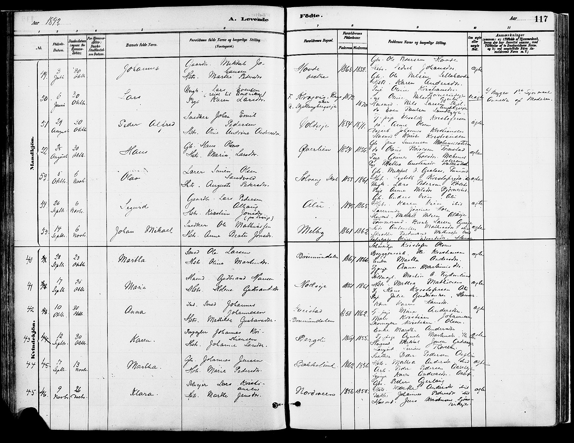 Vang prestekontor, Hedmark, SAH/PREST-008/H/Ha/Haa/L0018A: Parish register (official) no. 18A, 1880-1906, p. 117