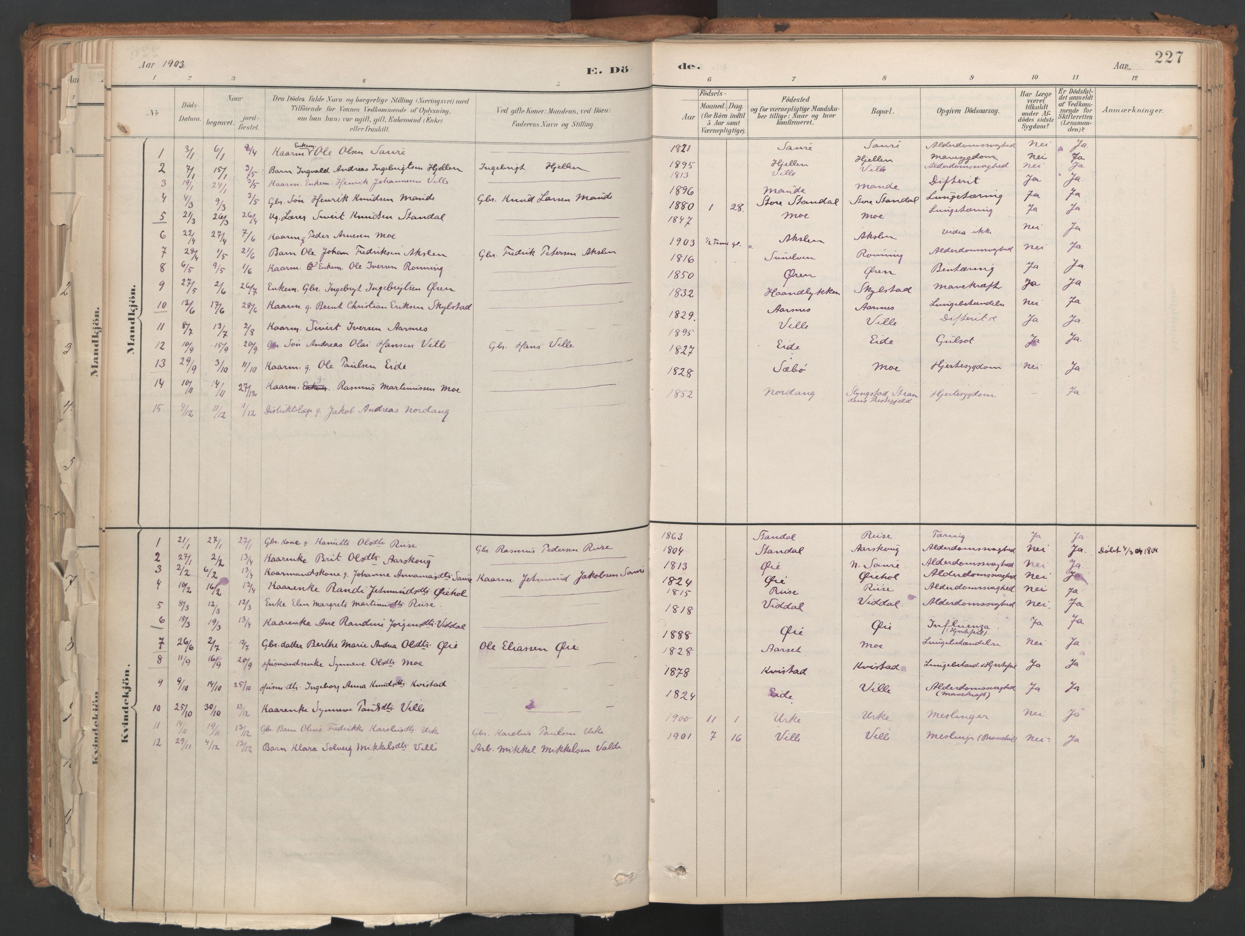 Ministerialprotokoller, klokkerbøker og fødselsregistre - Møre og Romsdal, AV/SAT-A-1454/515/L0211: Parish register (official) no. 515A07, 1886-1910, p. 227