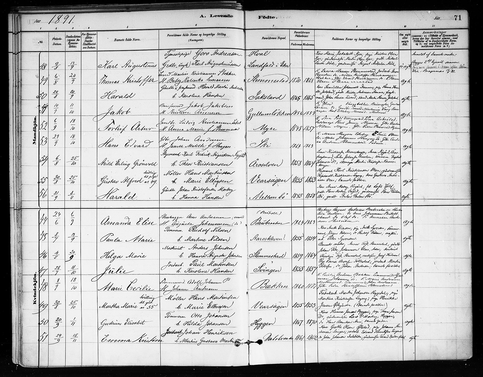 Røyken kirkebøker, SAKO/A-241/F/Fa/L0008: Parish register (official) no. 8, 1880-1897, p. 71