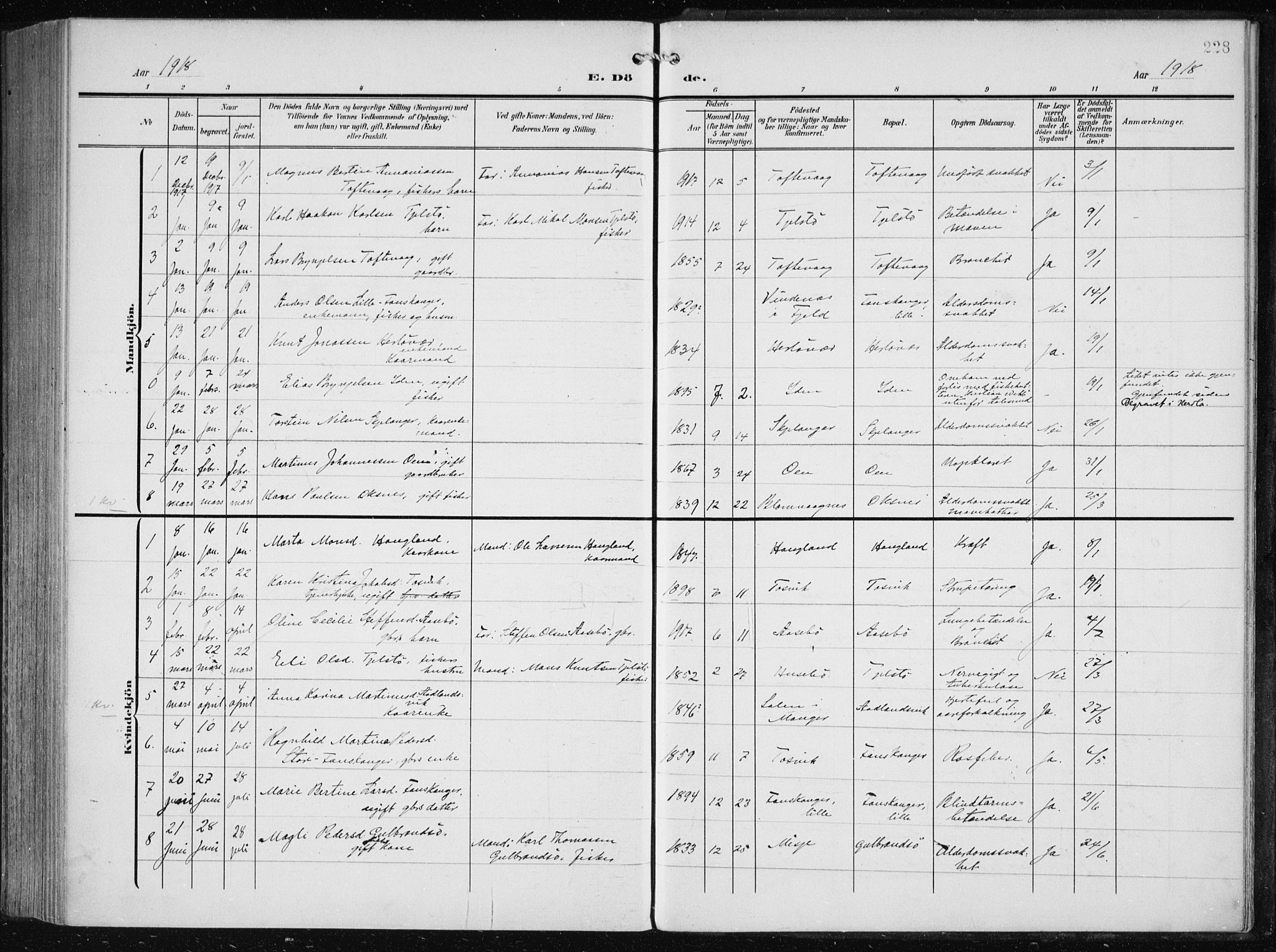 Herdla Sokneprestembete, SAB/A-75701/H/Haa: Parish register (official) no. A 5, 1905-1918, p. 228