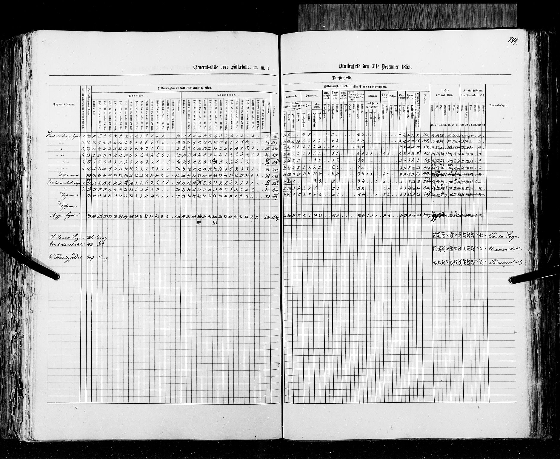 RA, Census 1855, vol. 2: Kristians amt, Buskerud amt og Jarlsberg og Larvik amt, 1855, p. 249